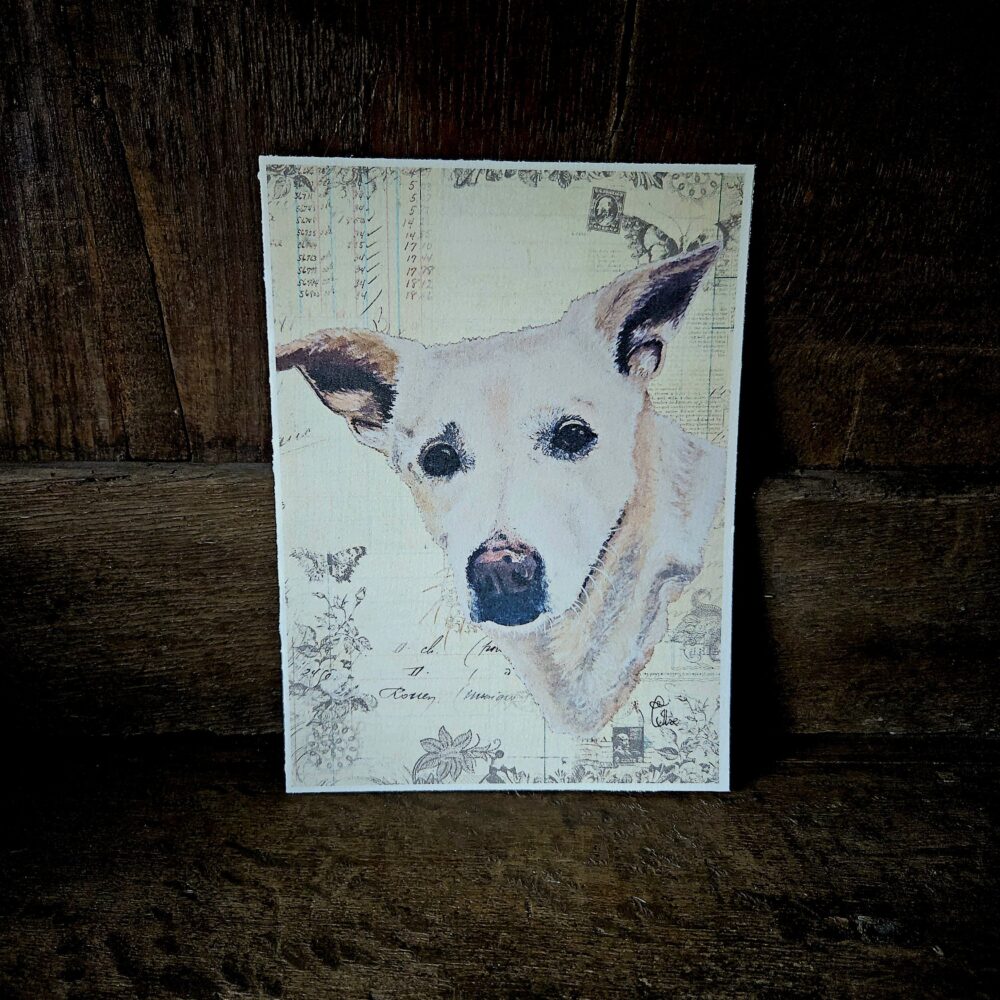 Indie (kaart 13x18)