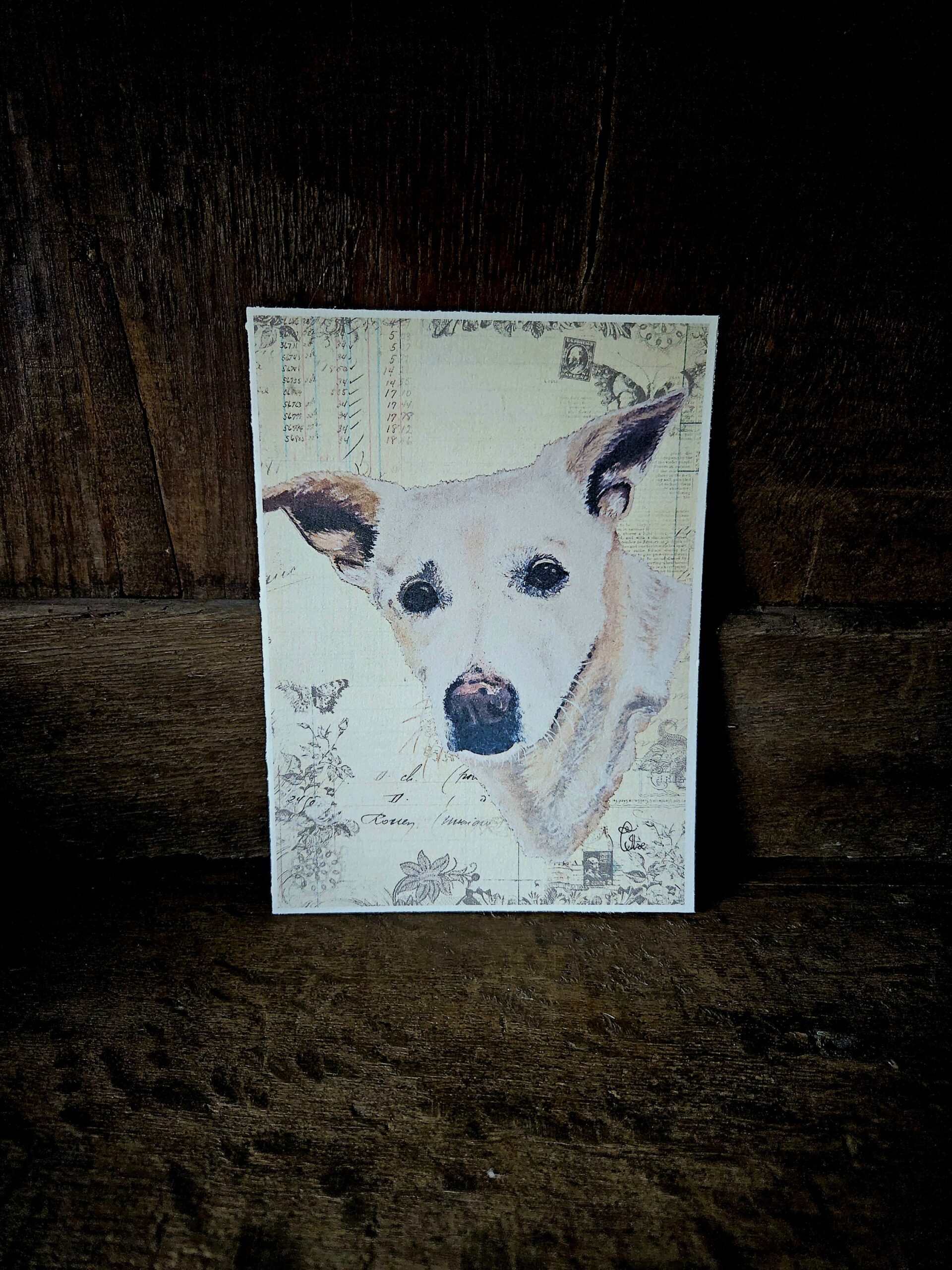 Indie (kaart 13x18)