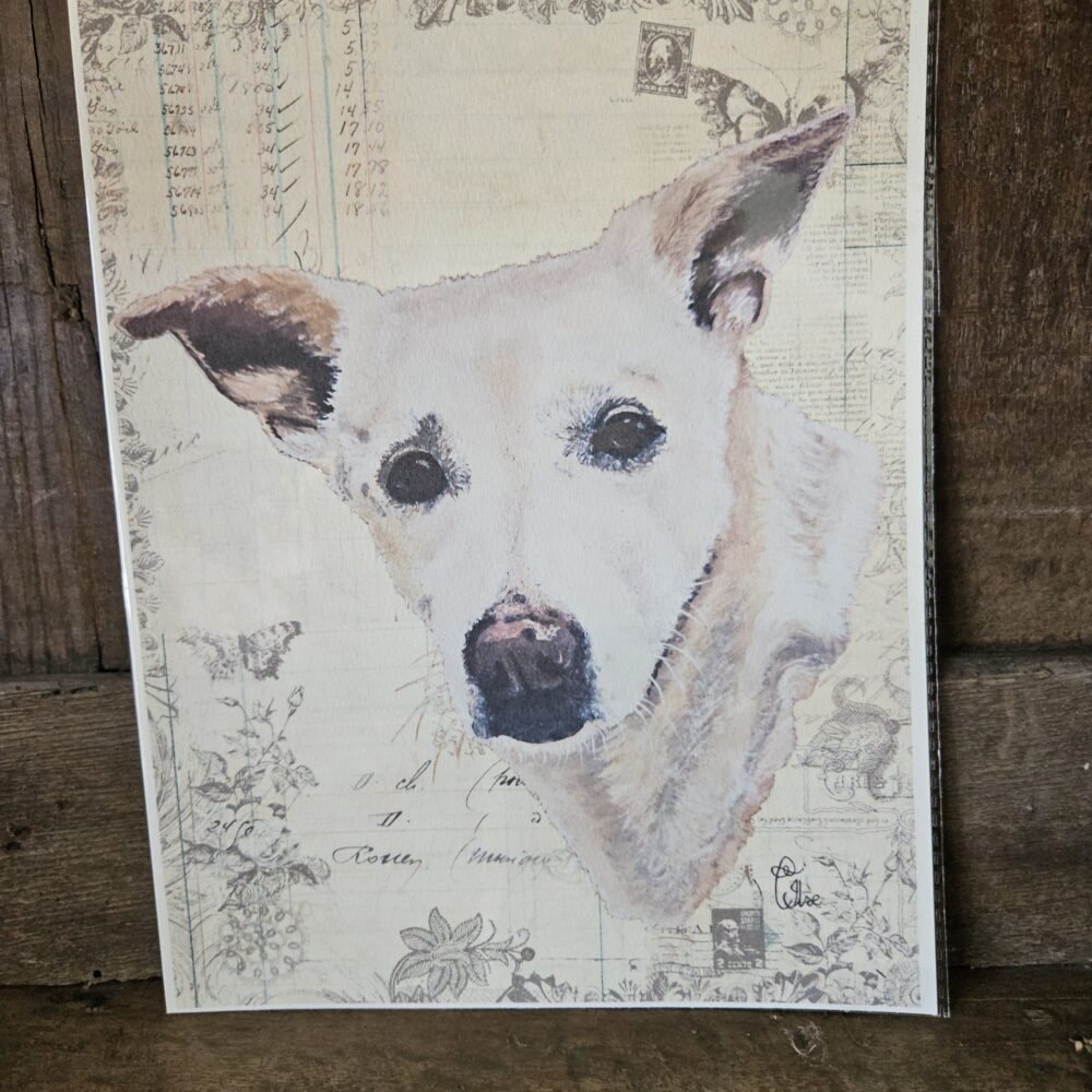 Indie (25x20 print)