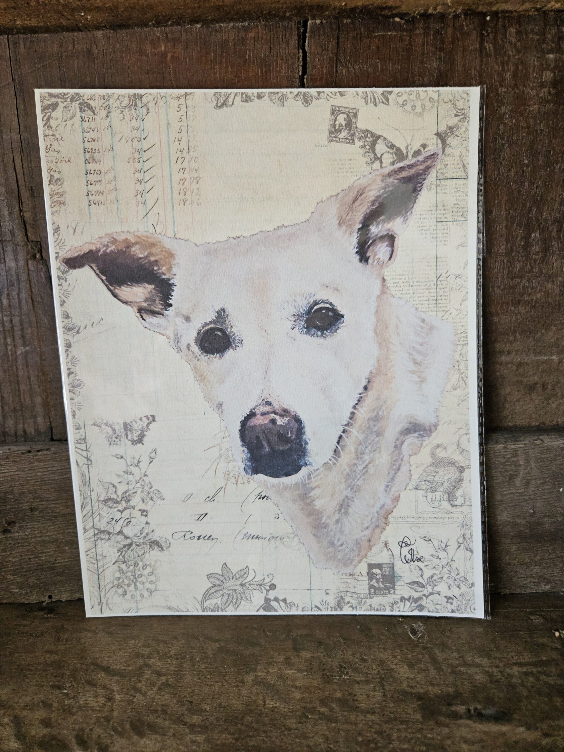 Indie (25x20 print)