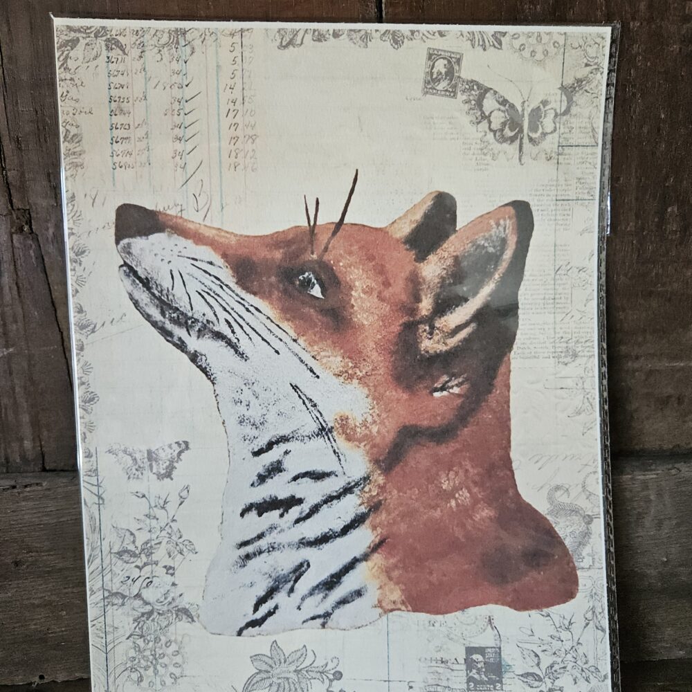 Dreaming Fox (25x20 print)