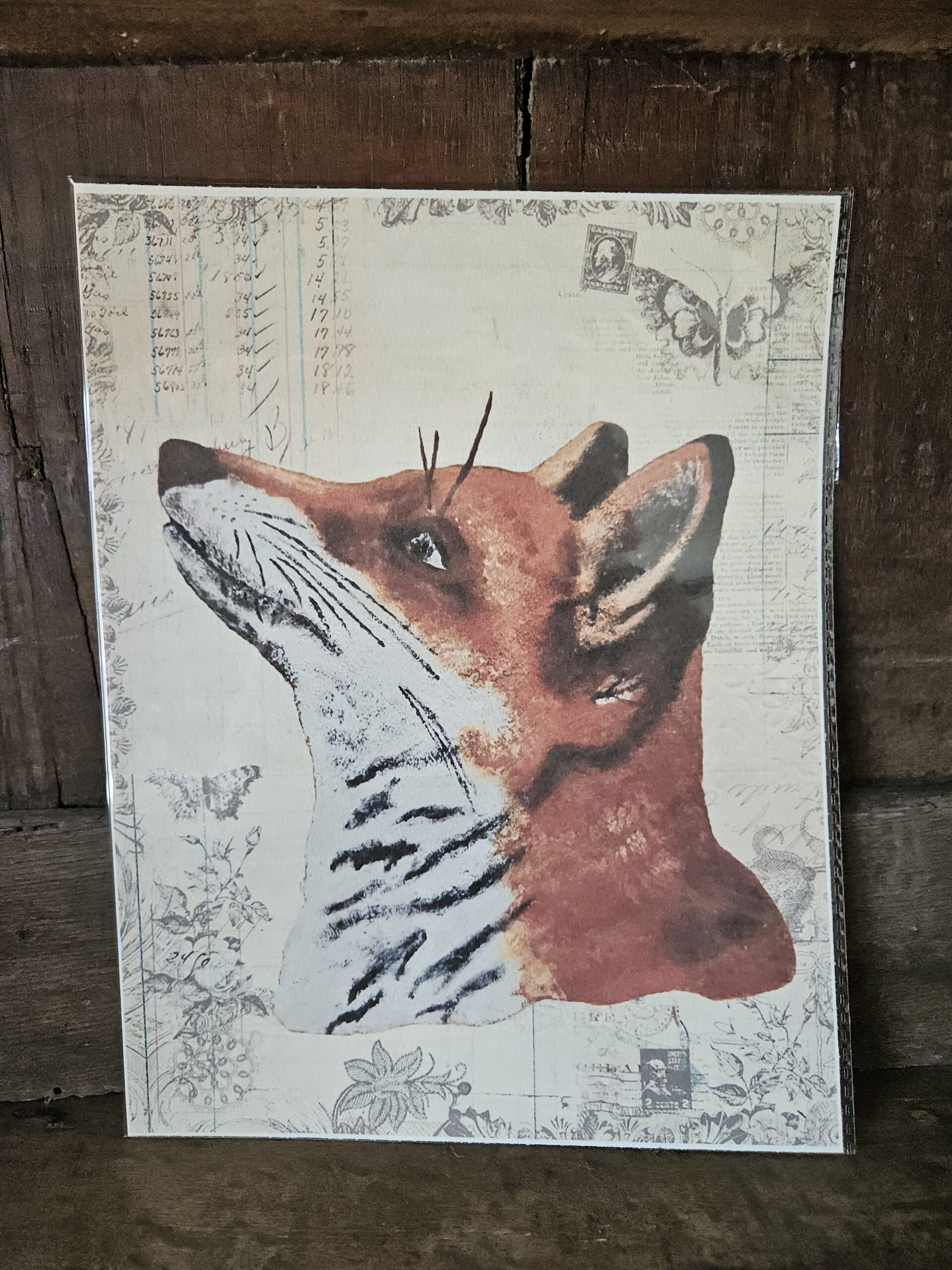 Dreaming Fox (25x20 print)