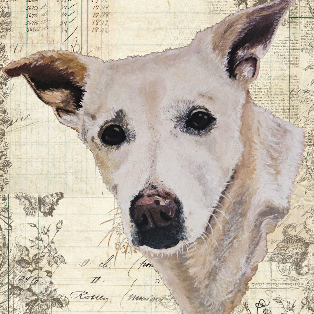 Indie (kaart 13x18)