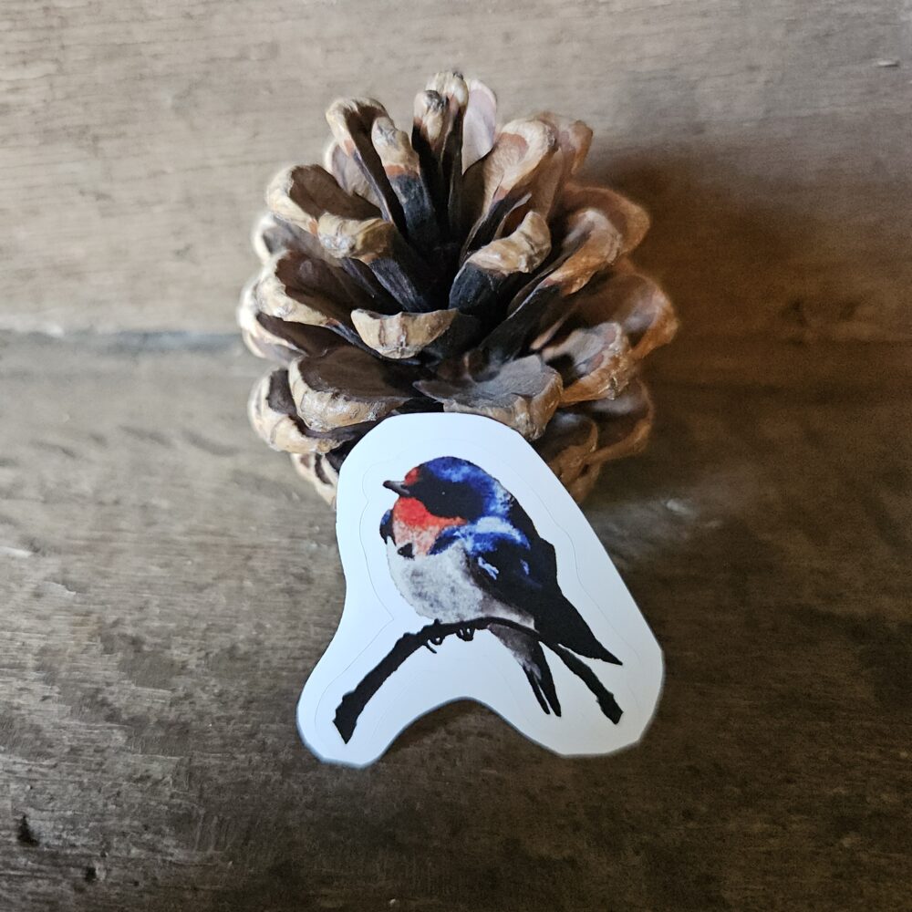 Swallow (sticker)