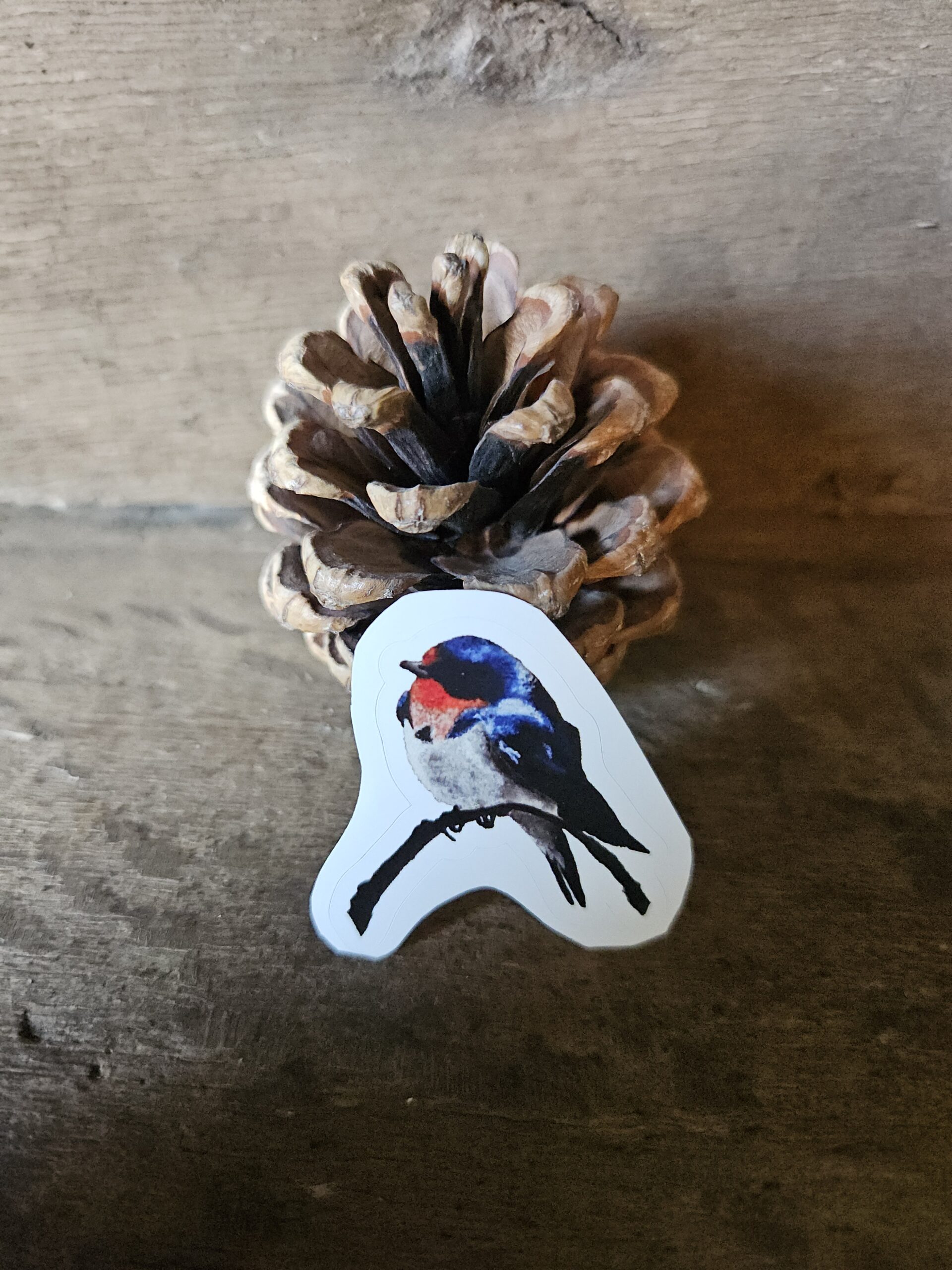 Swallow (sticker)