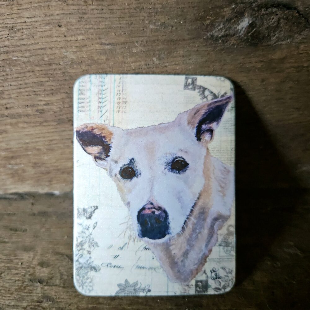 Indie (magneet)