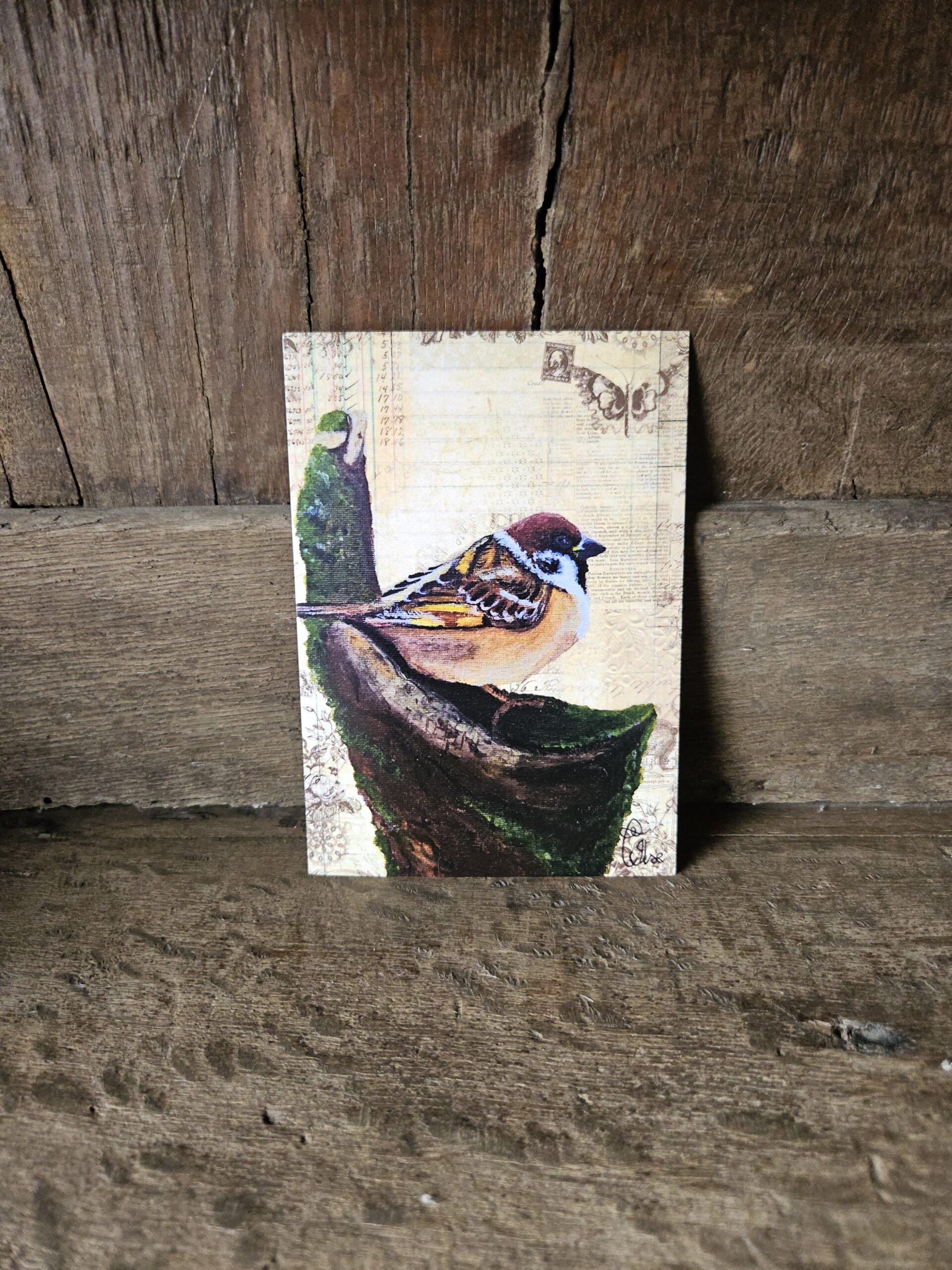 Happy Chubby Sparrow (ansichtkaart)