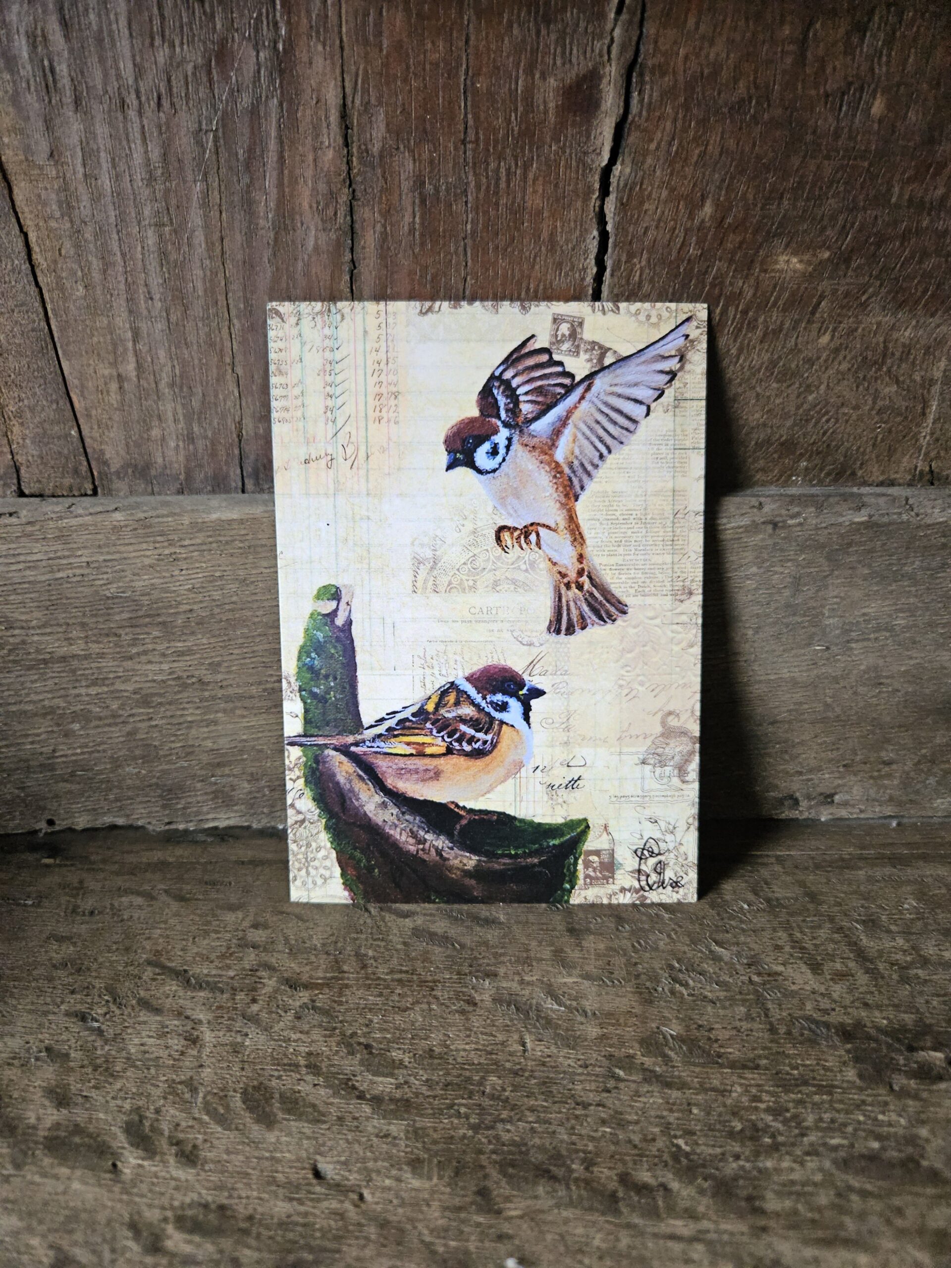 Happy Sparrows (ansichtkaart)