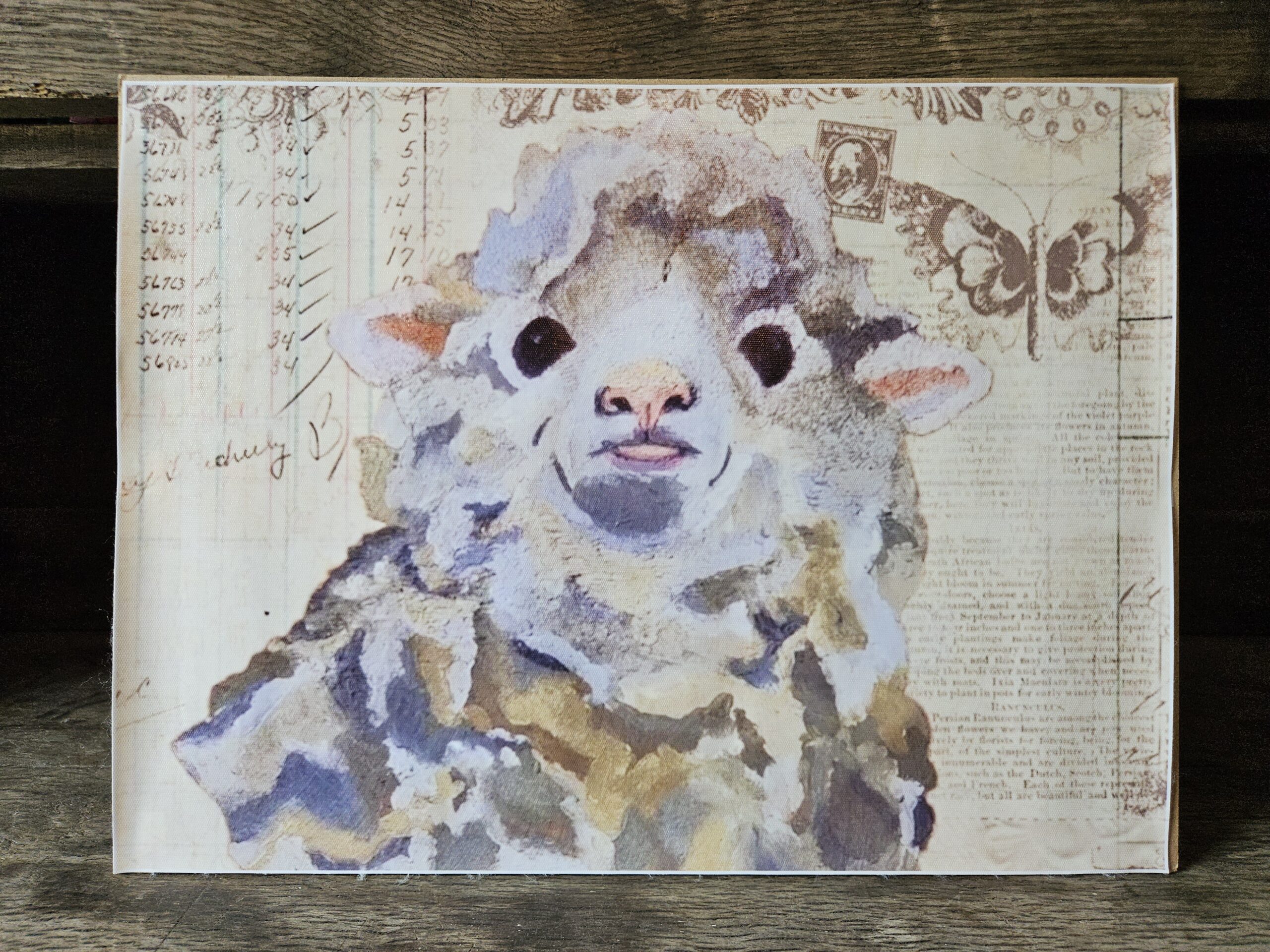 Sheep (A3 canvas poster)