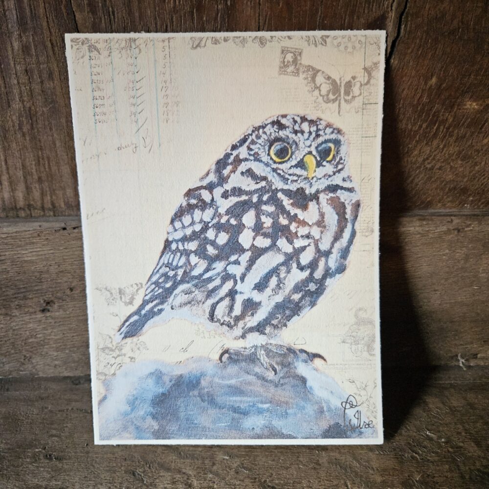 Little Owl (kaart 13x18)