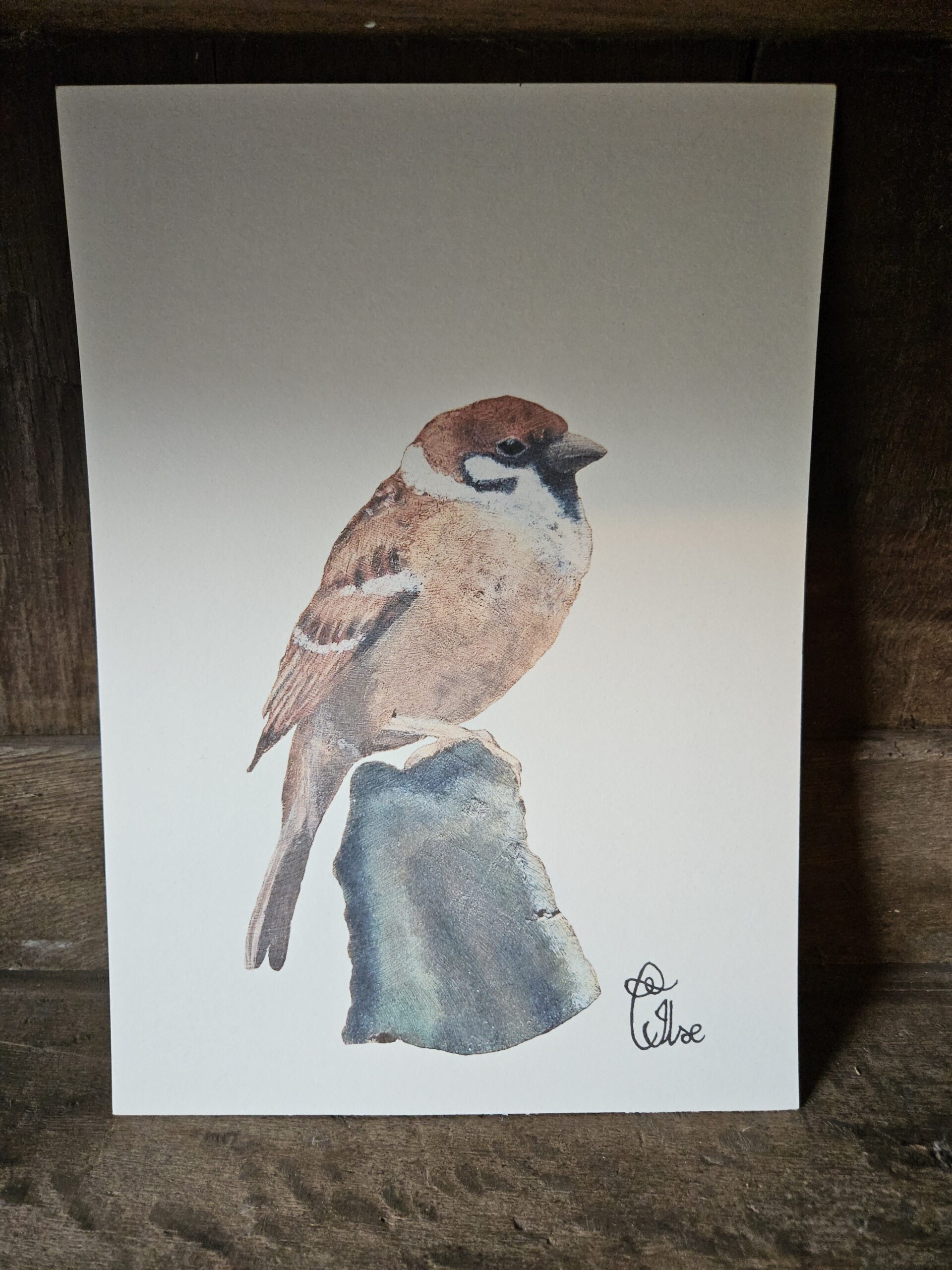 Sparrow (13×18 print)