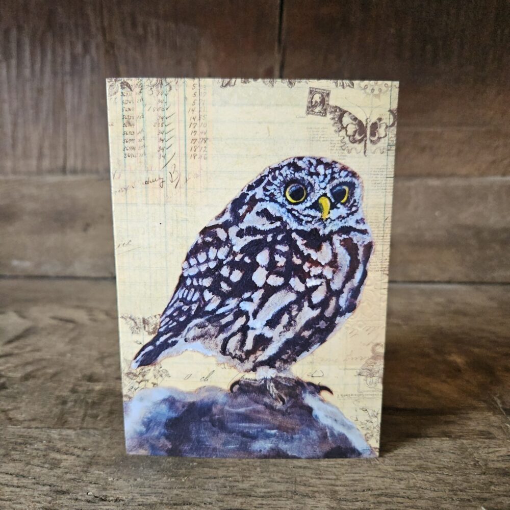 Little Owl (ansichtkaart)