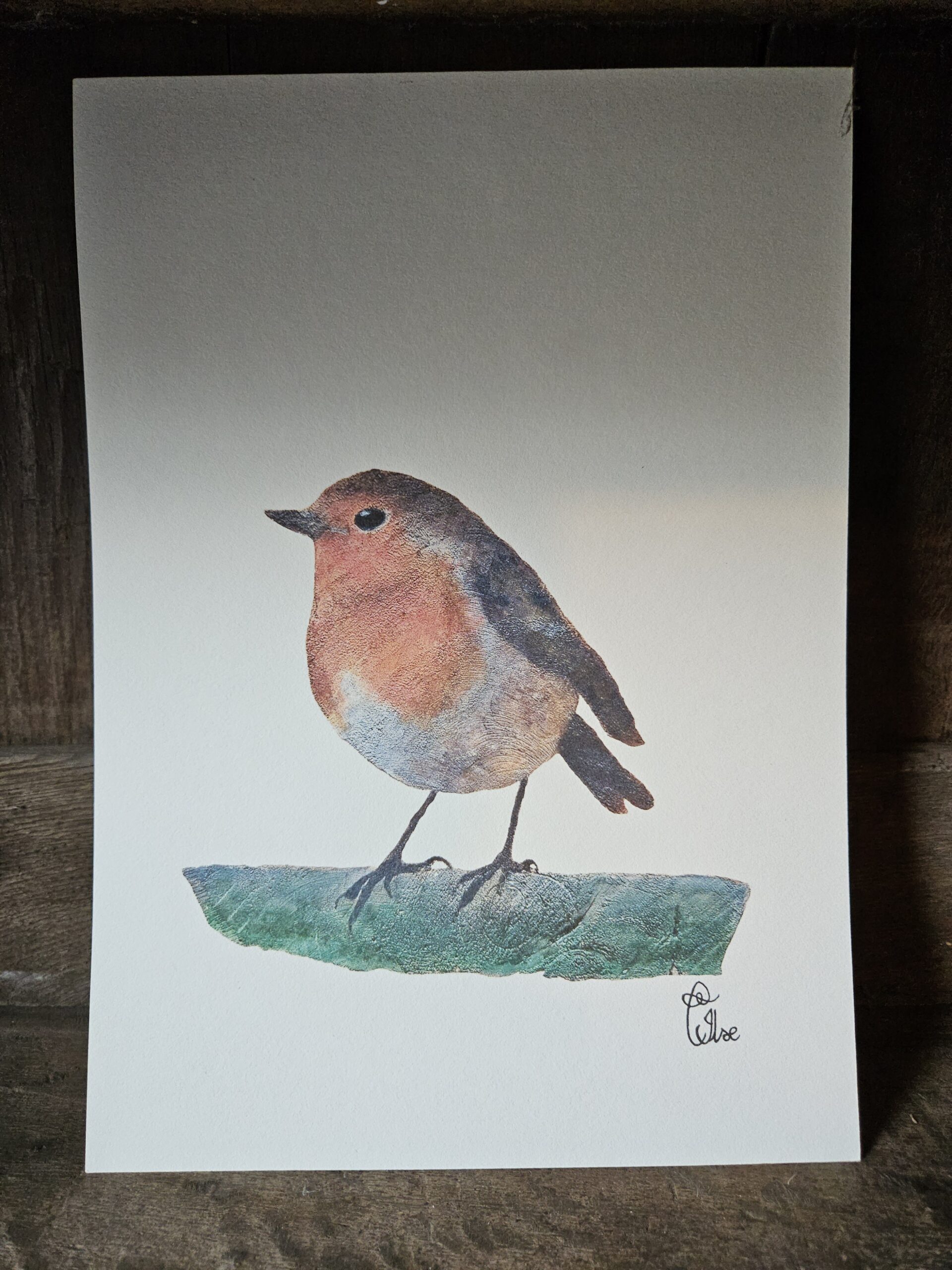The Robin (13×18 print)