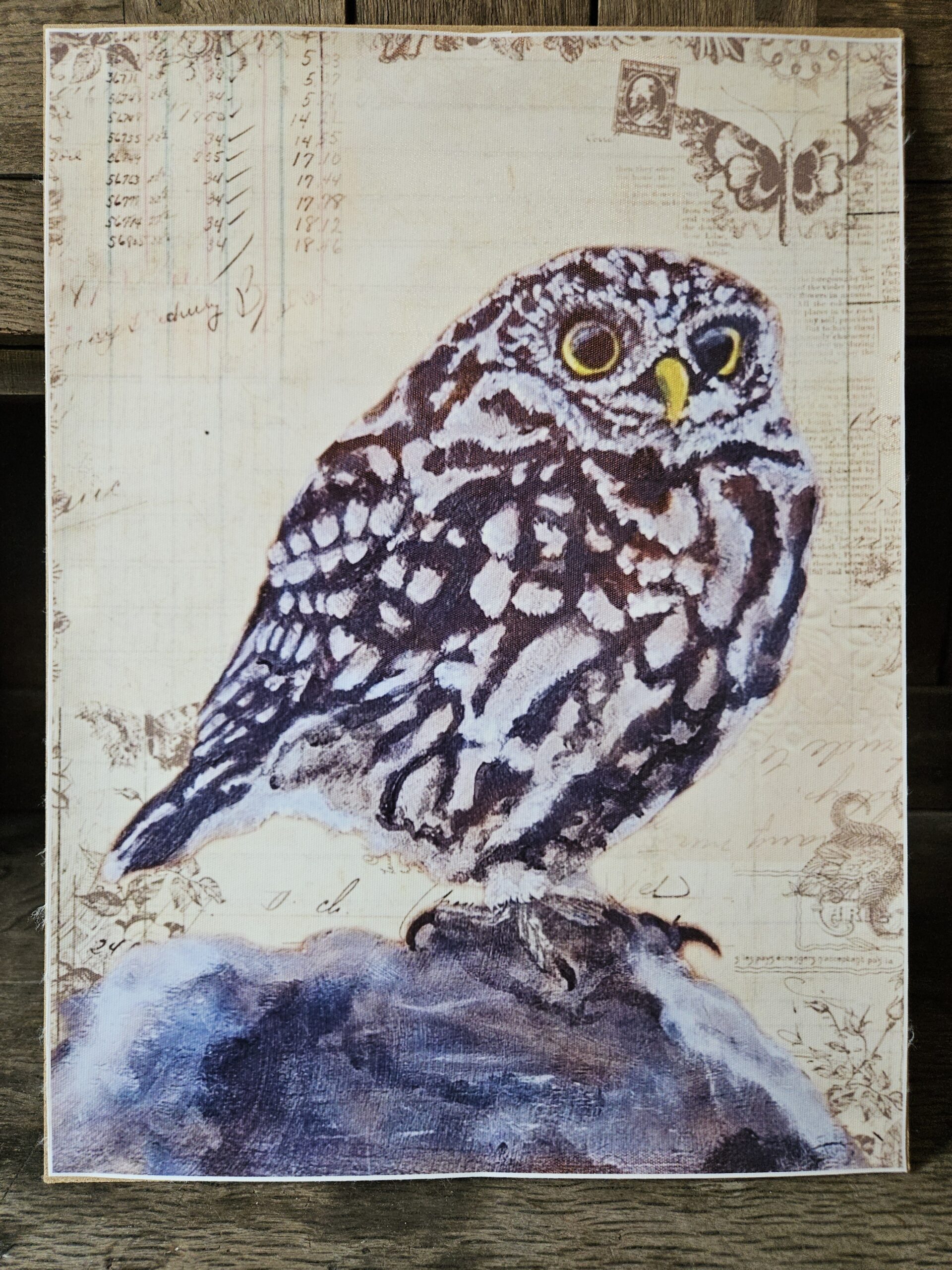 Little Owl (A3 canvas poster)