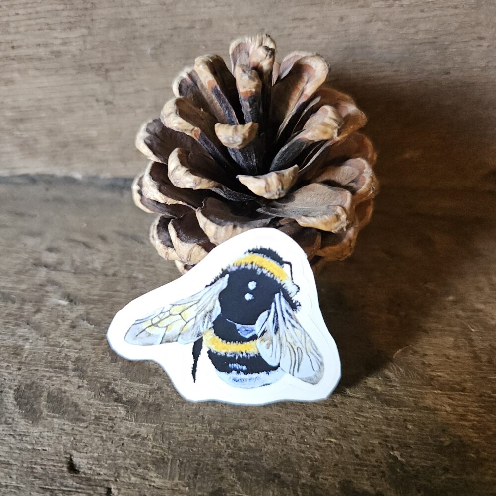 Buzzy Bee line – Bee Ready (sticker)