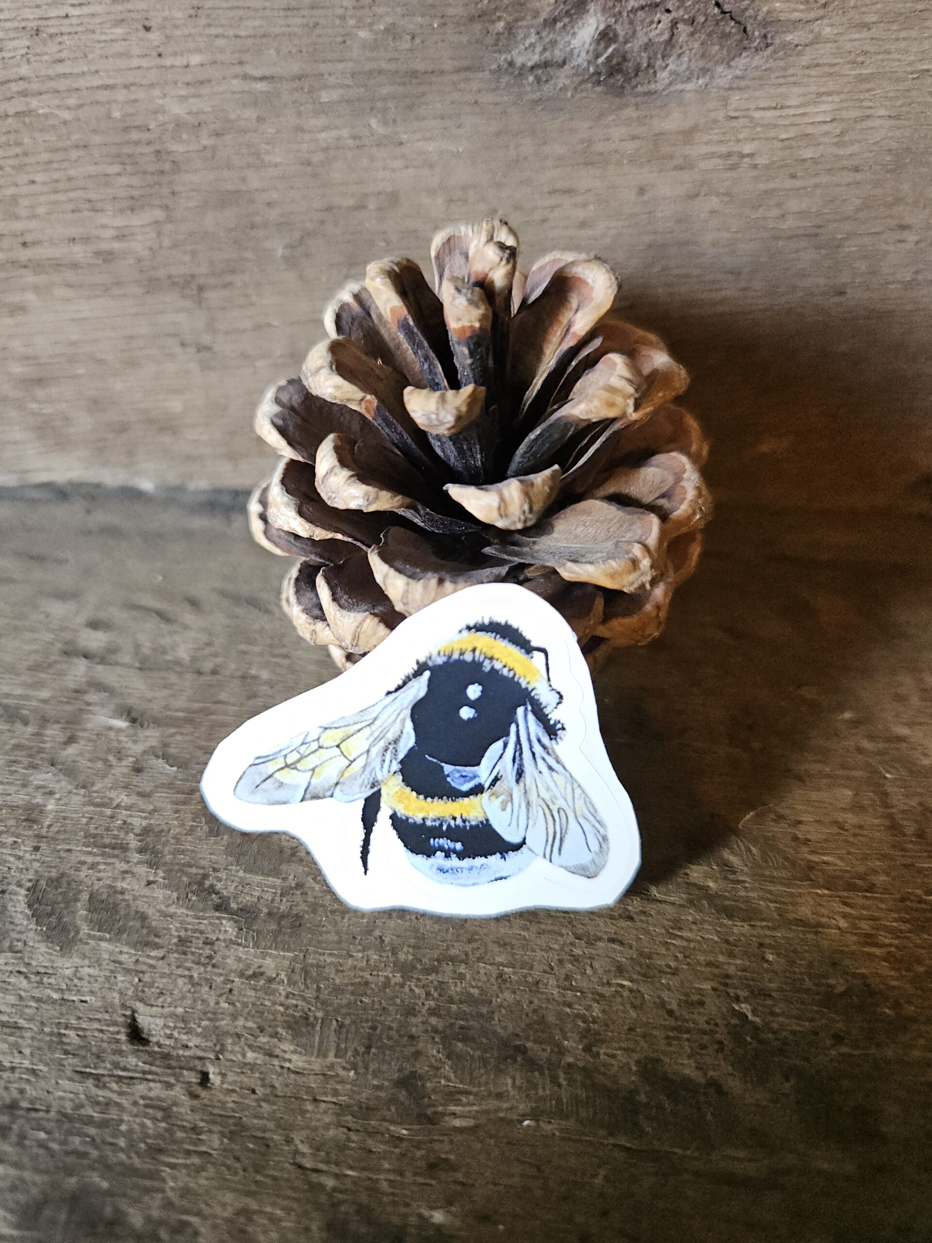 Buzzy Bee line – Bee Ready (sticker)