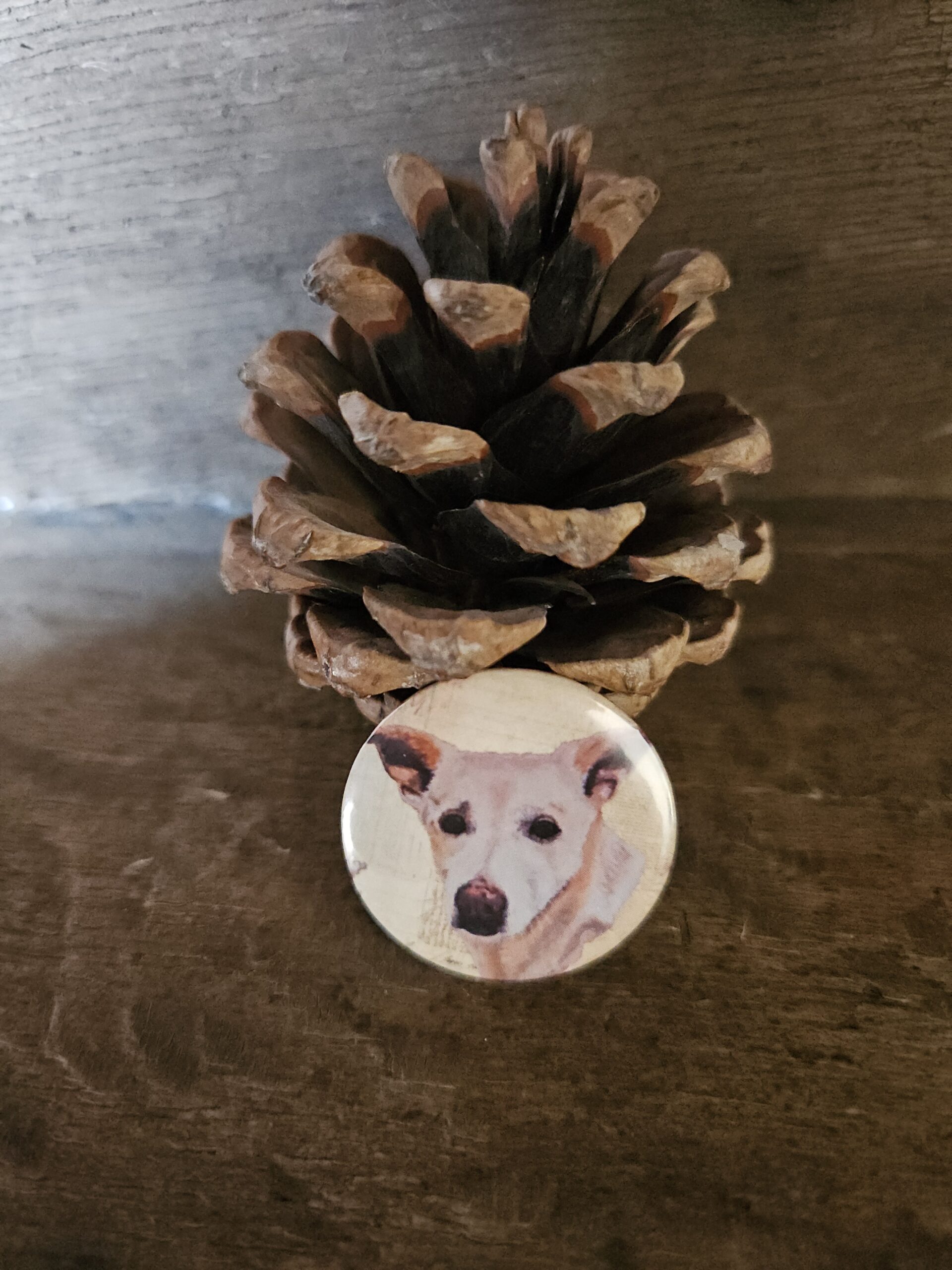 Indie (button)