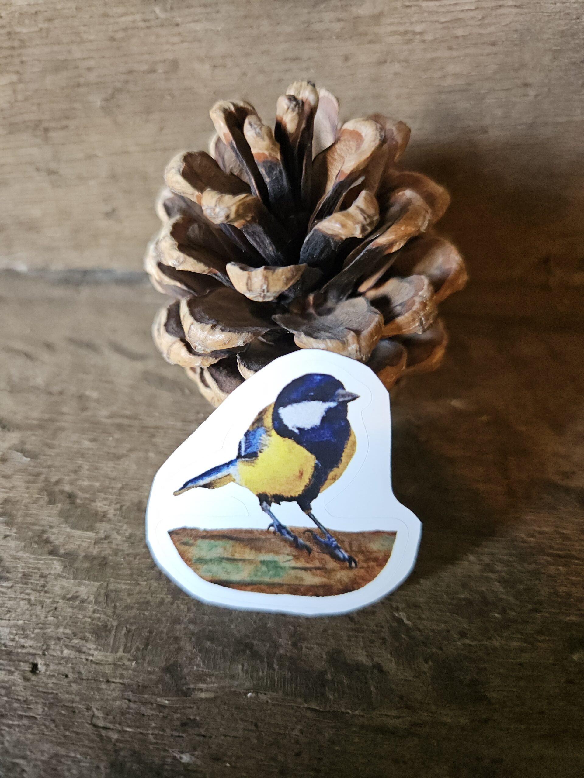 Small Blue Tit (sticker)