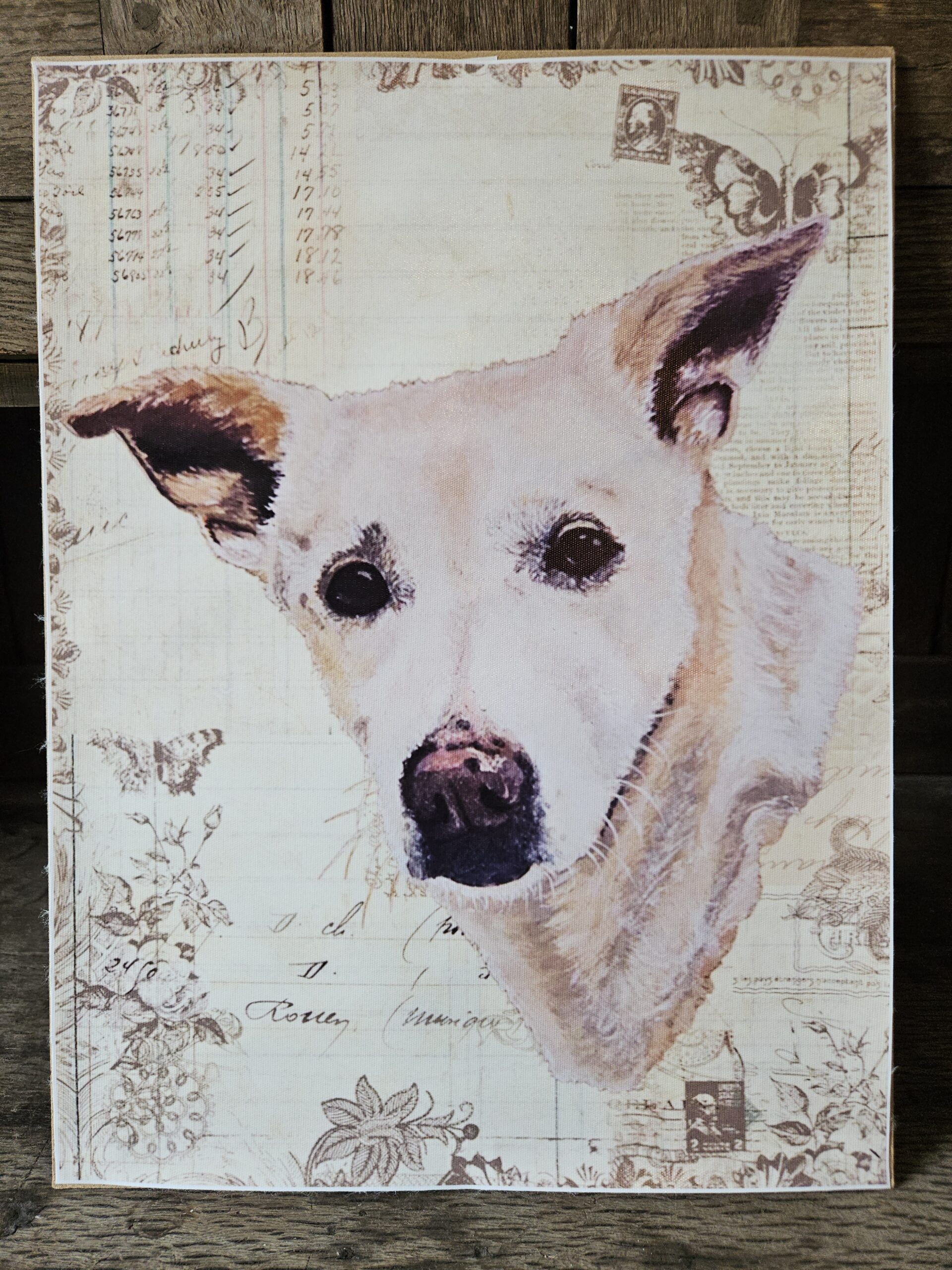 Indie (A3 canvas poster)