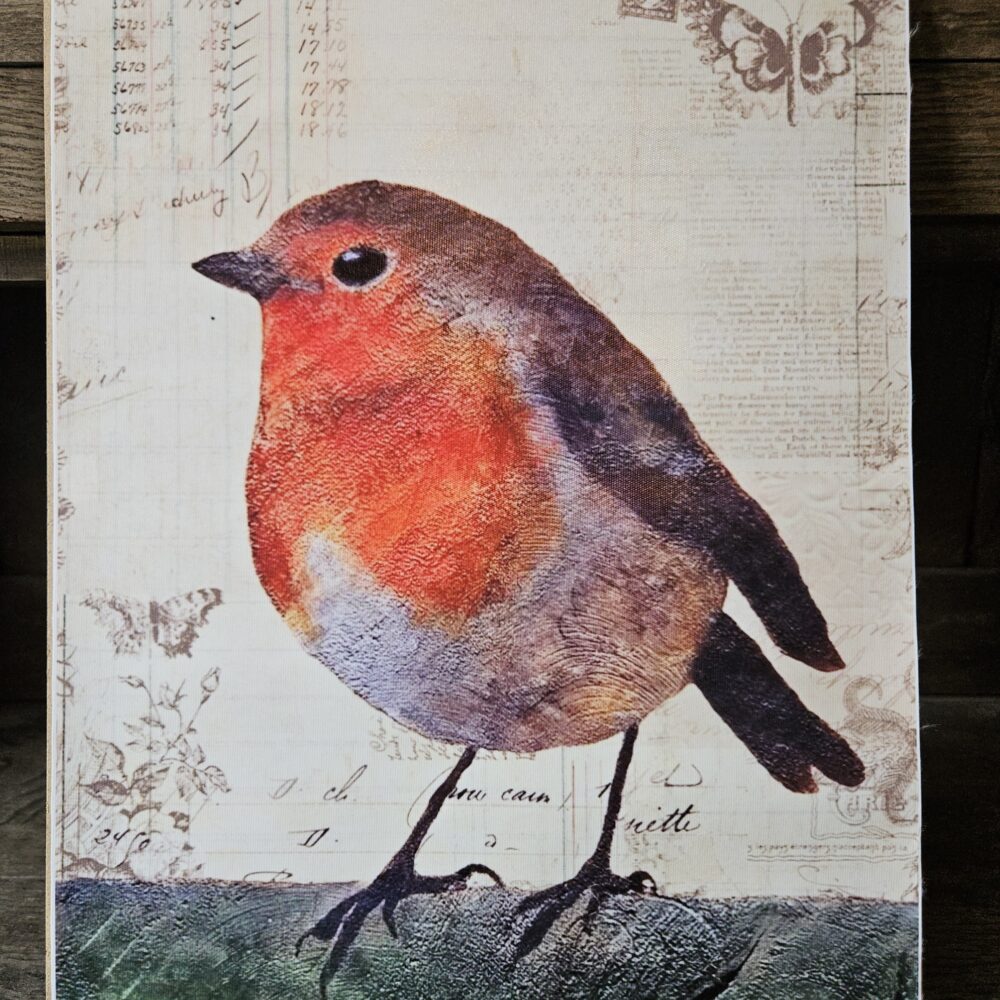The Robin (A3 canvas poster)