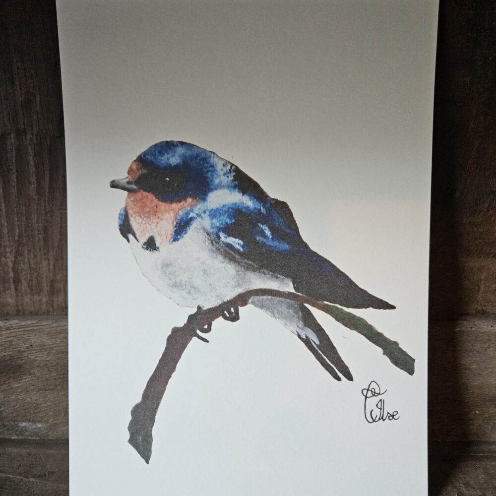 Swallow (13×18 print)