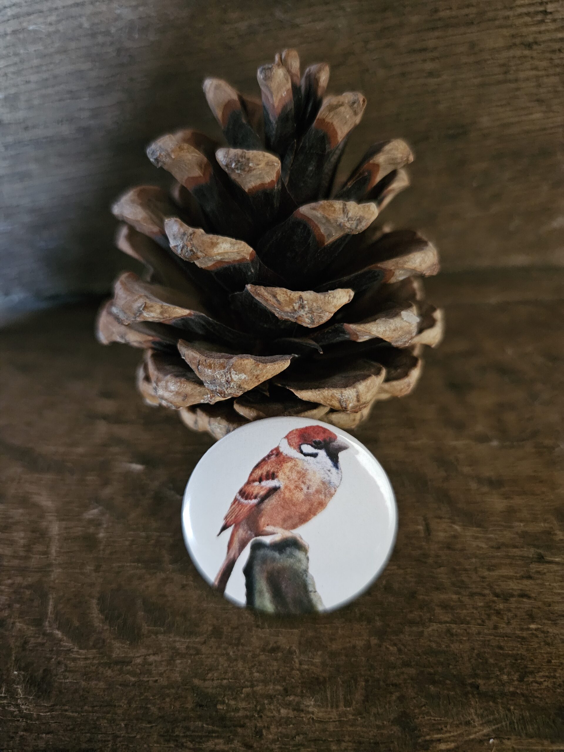 The Sparrow (button)