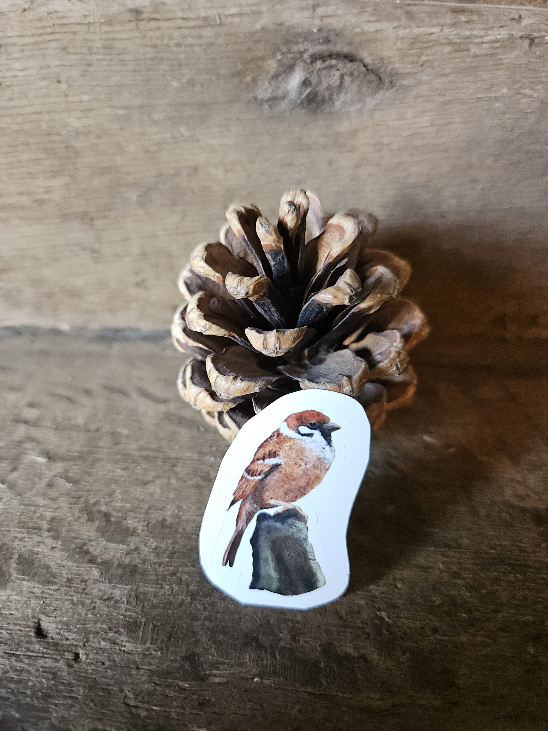 The Sparrow (sticker)