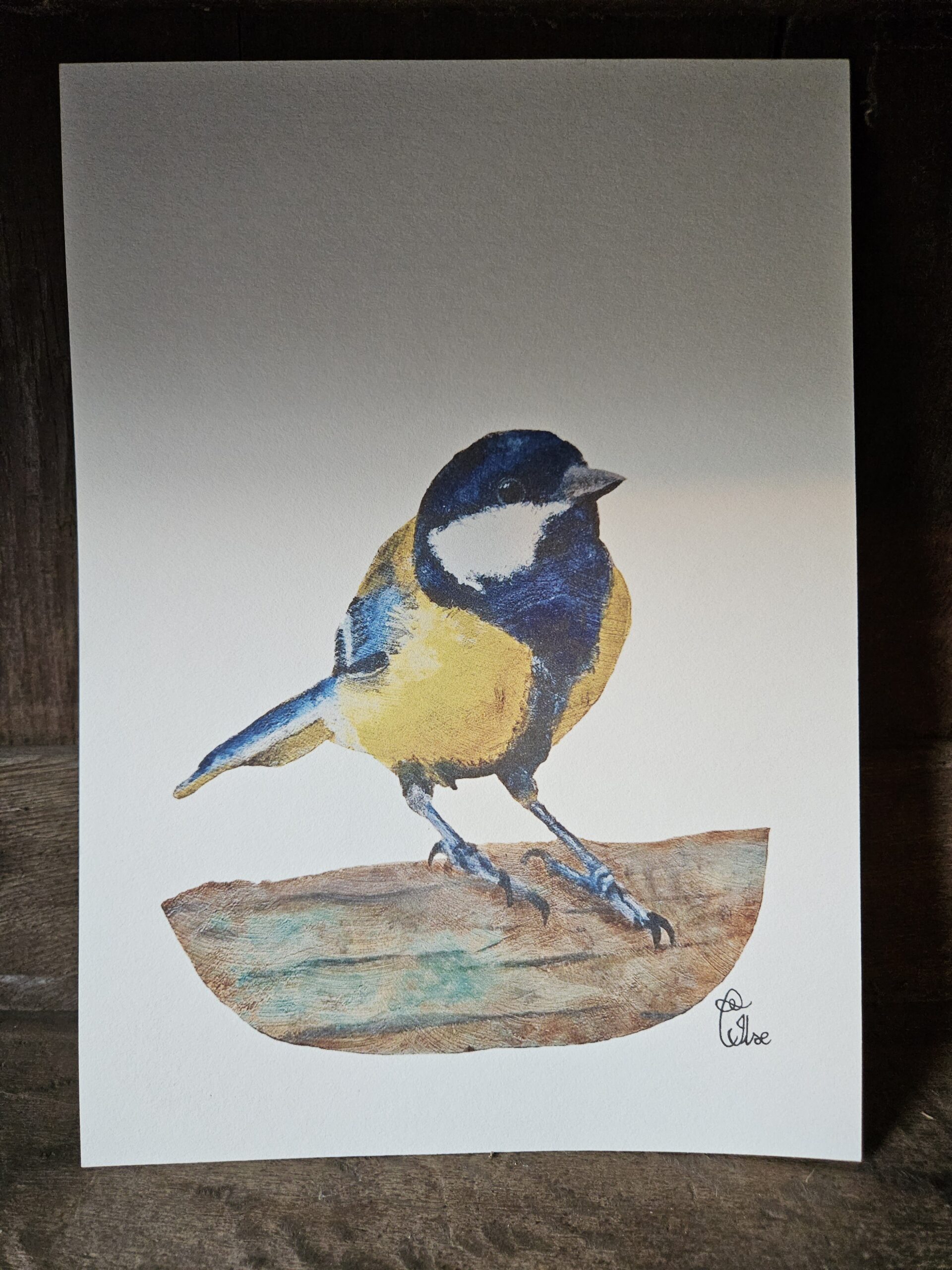 Small Blue Tit (13×18 print)