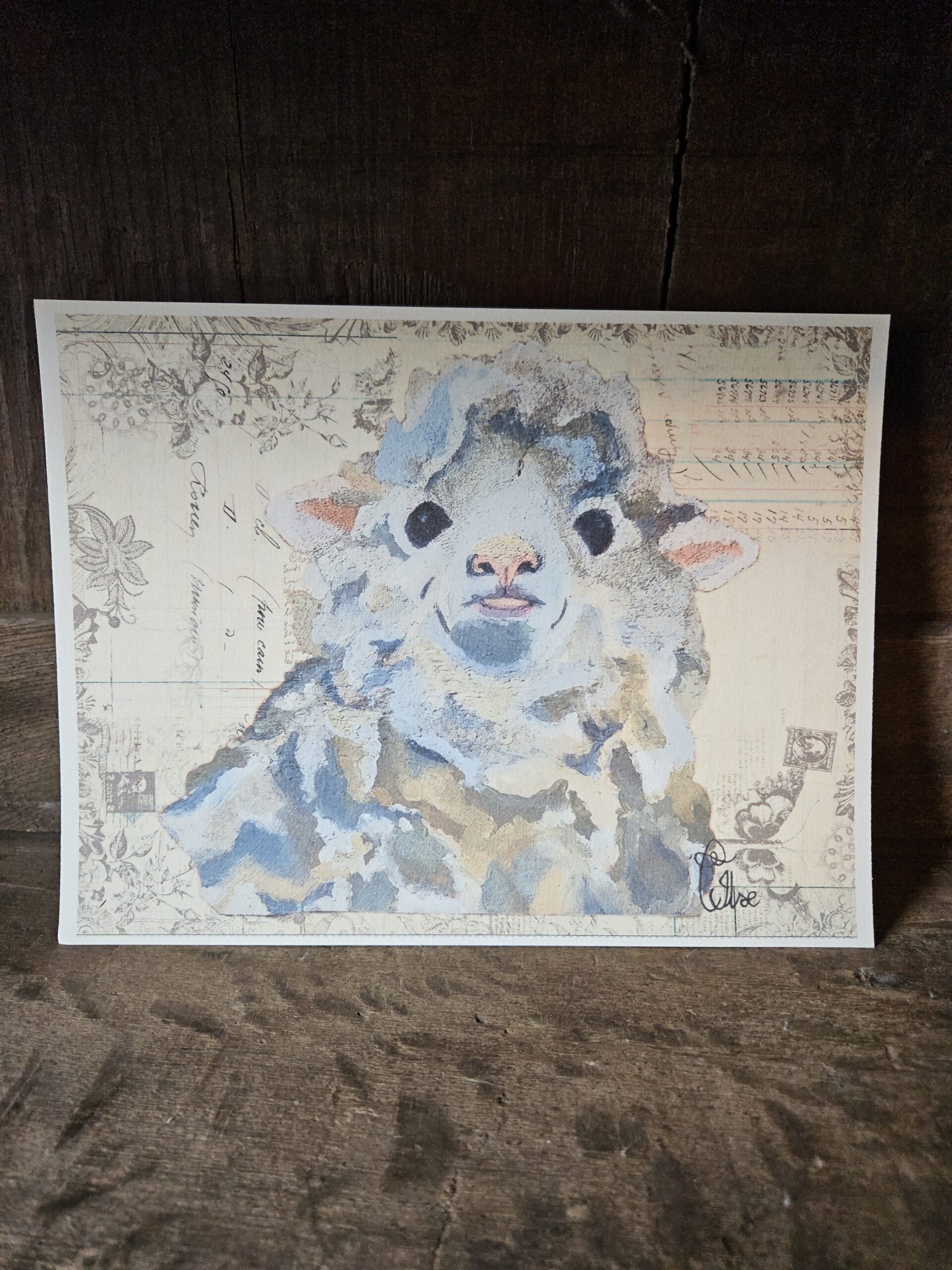 Sheep (25x20 print)