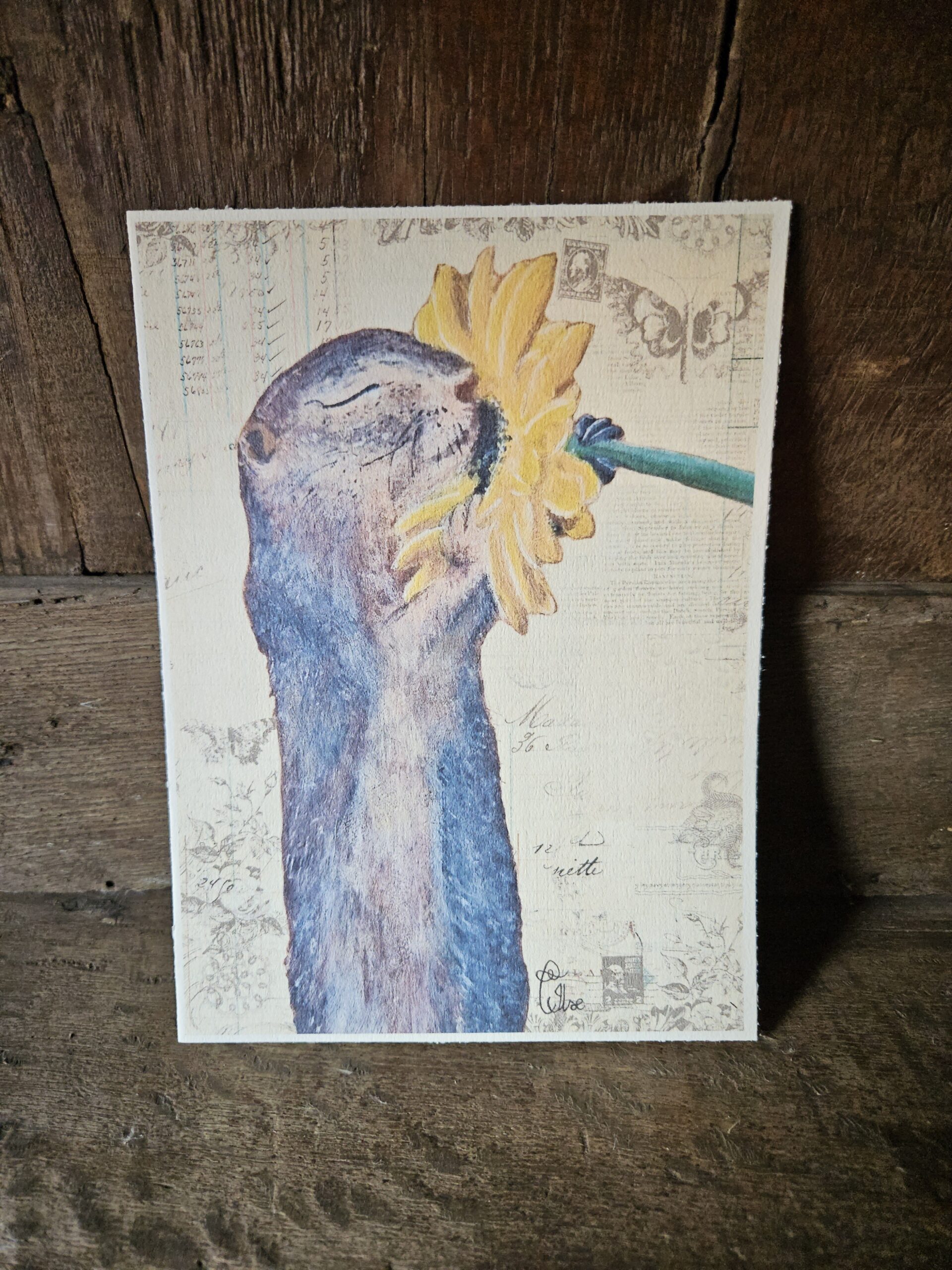 Ground Squirrel (kaart 13x18)