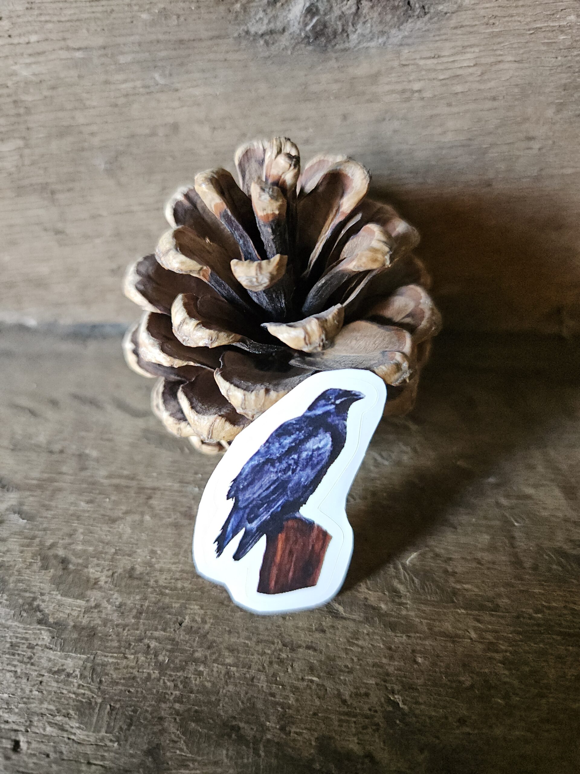 The Raven (sticker)