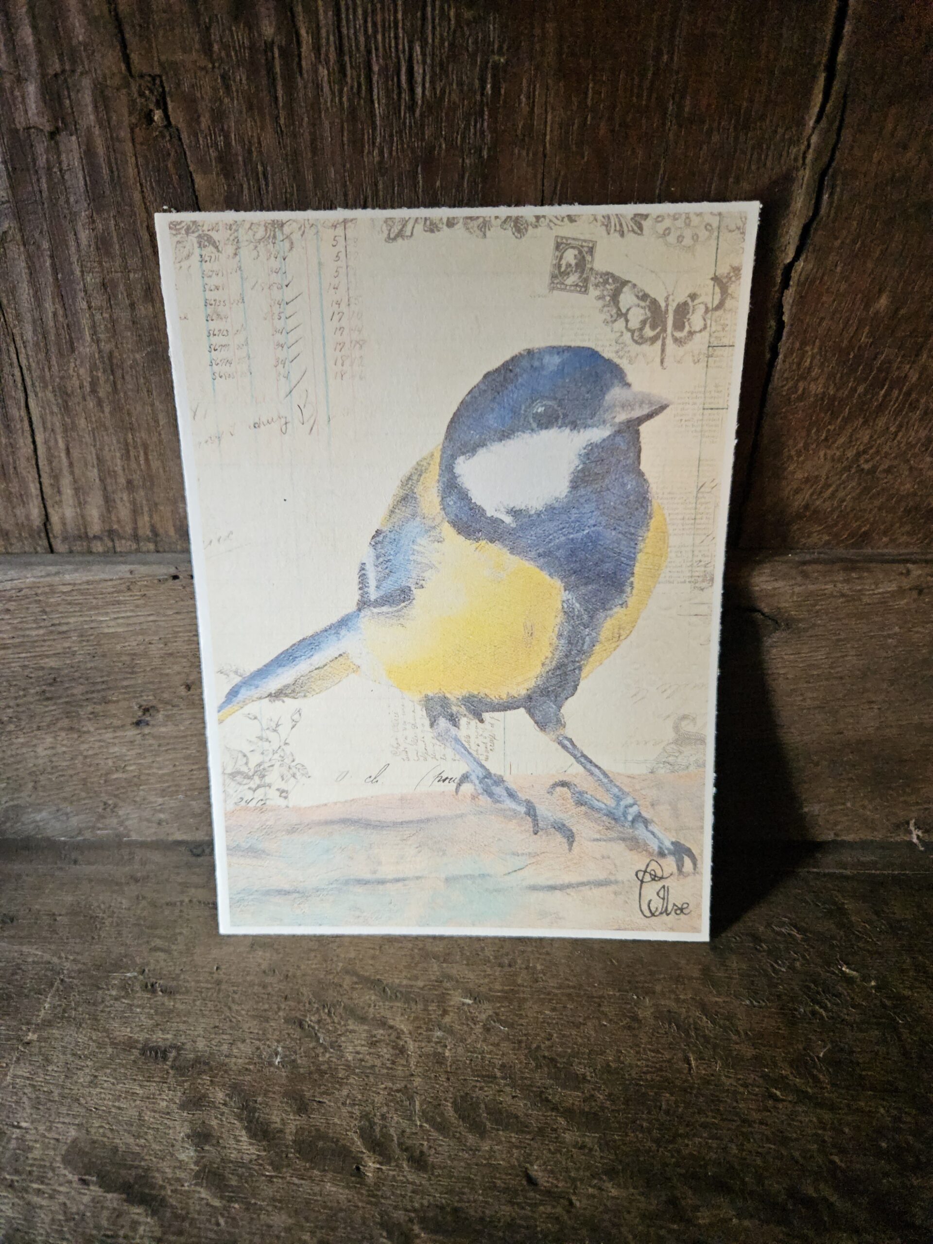 Small Blue Tit (kaart 13x18)