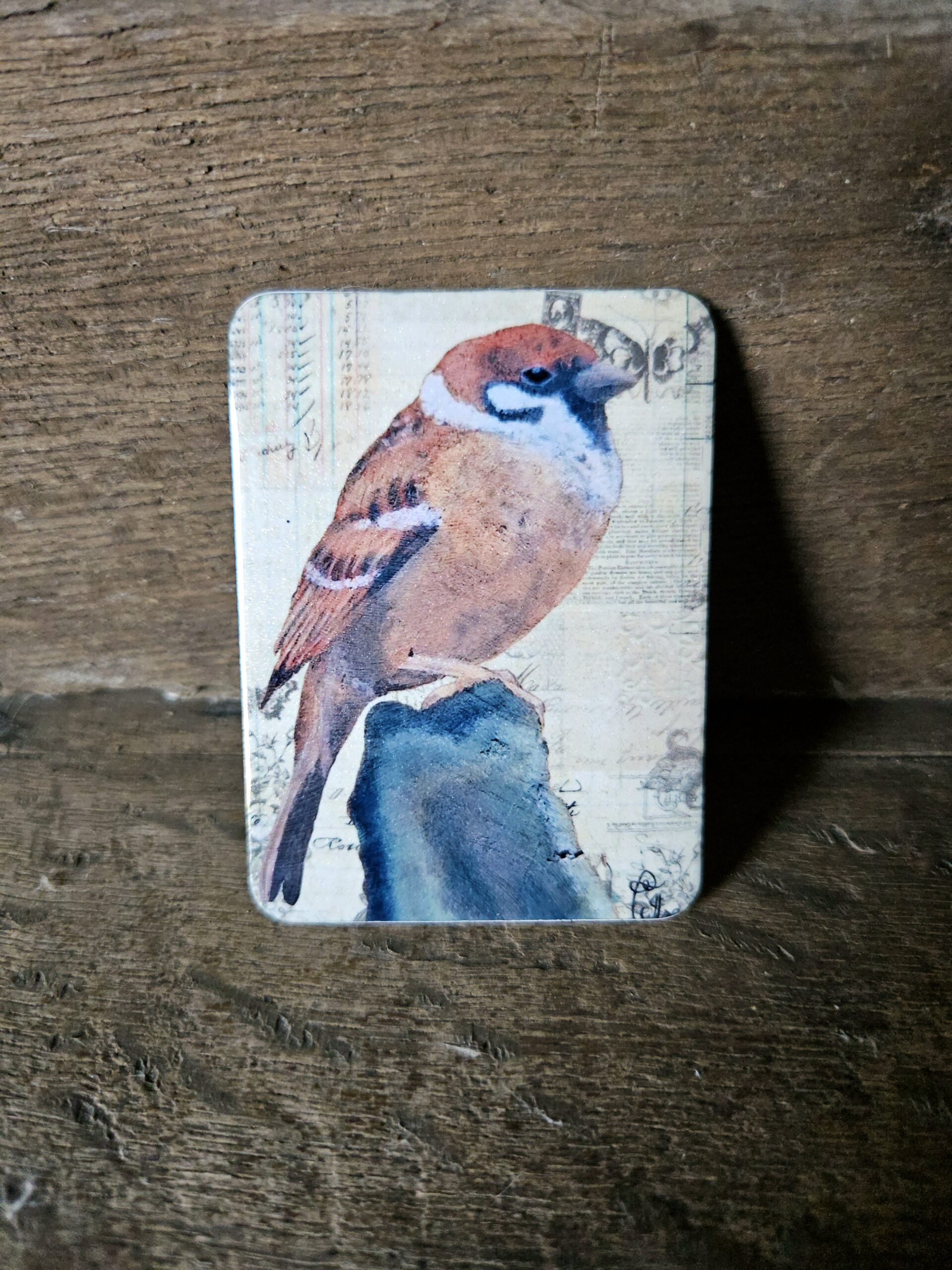 The Sparrow (magneet)