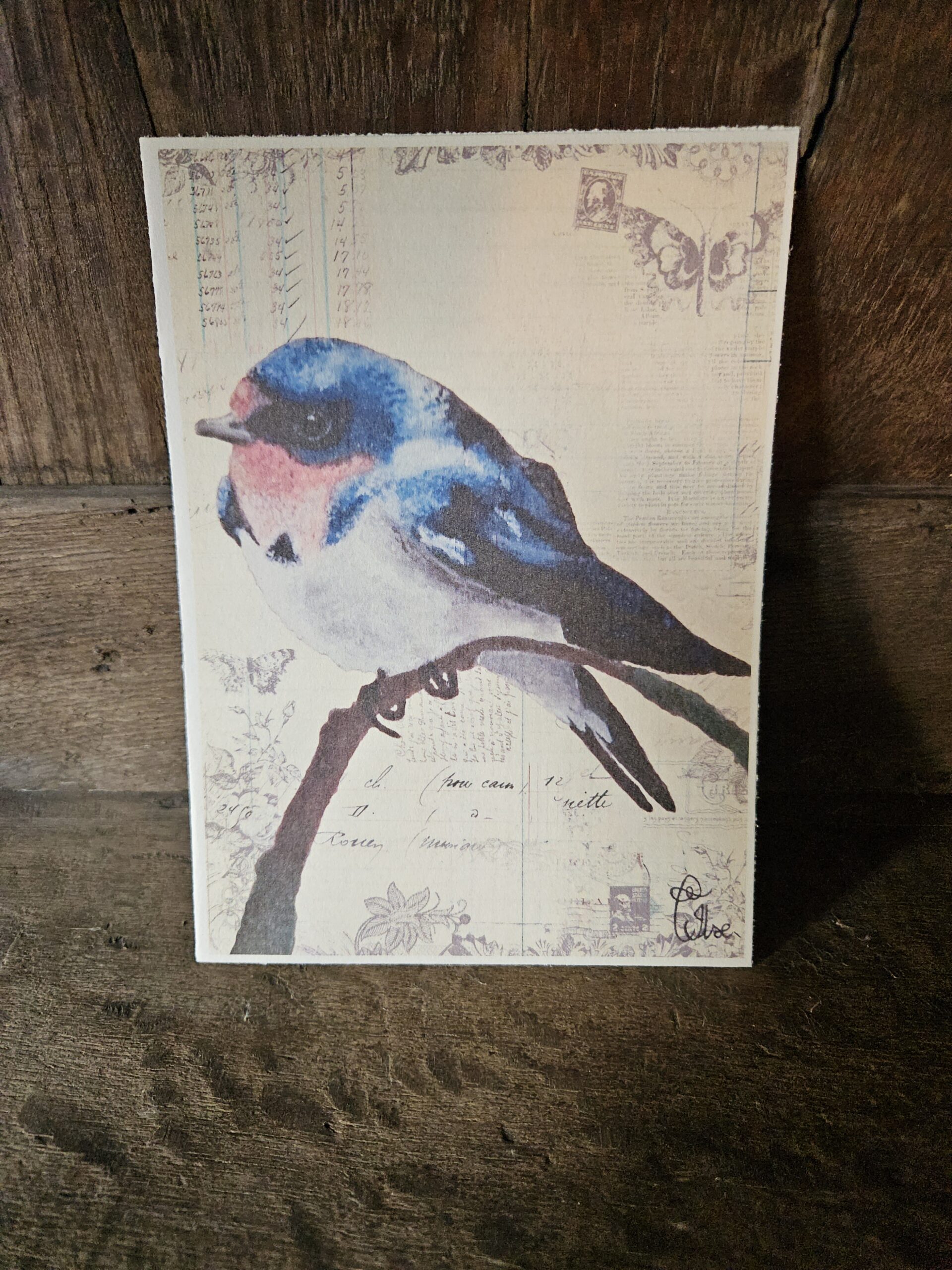 Swallow (kaart 13x18)