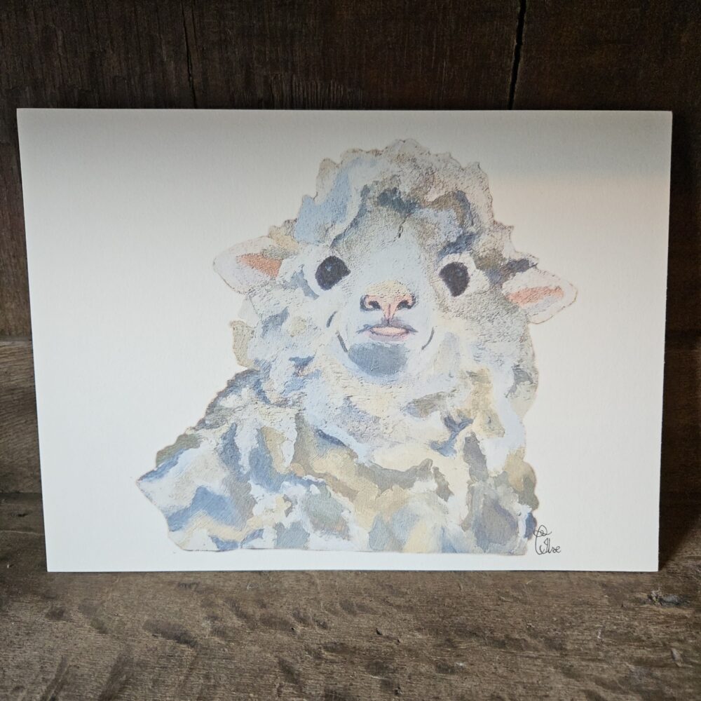 Sheep (13×18 print)