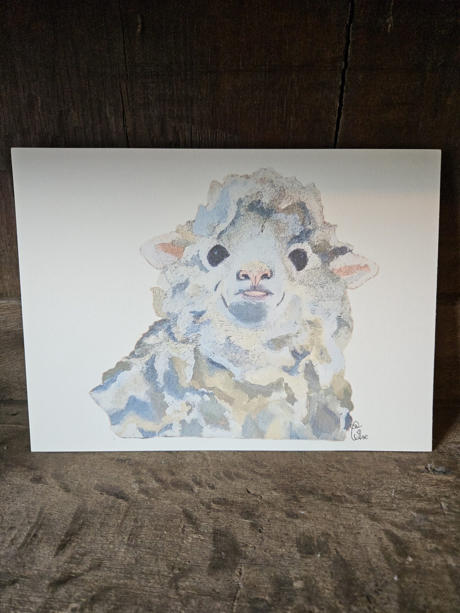 Sheep (13×18 print)