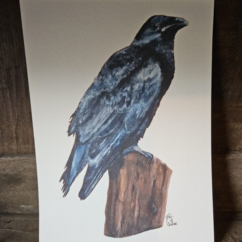 The raven (13×18 print)