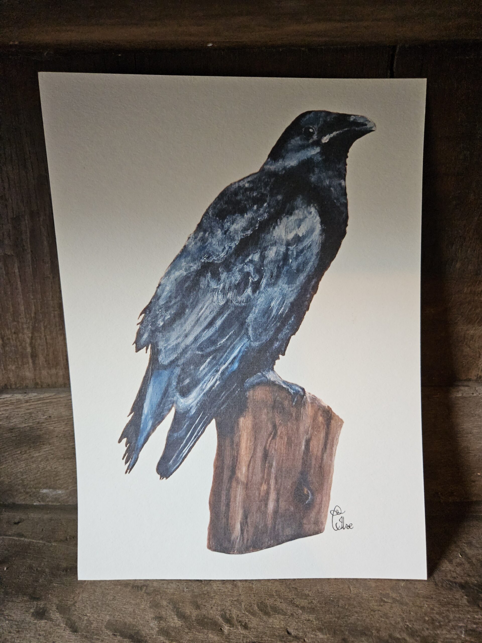 The raven (13×18 print)