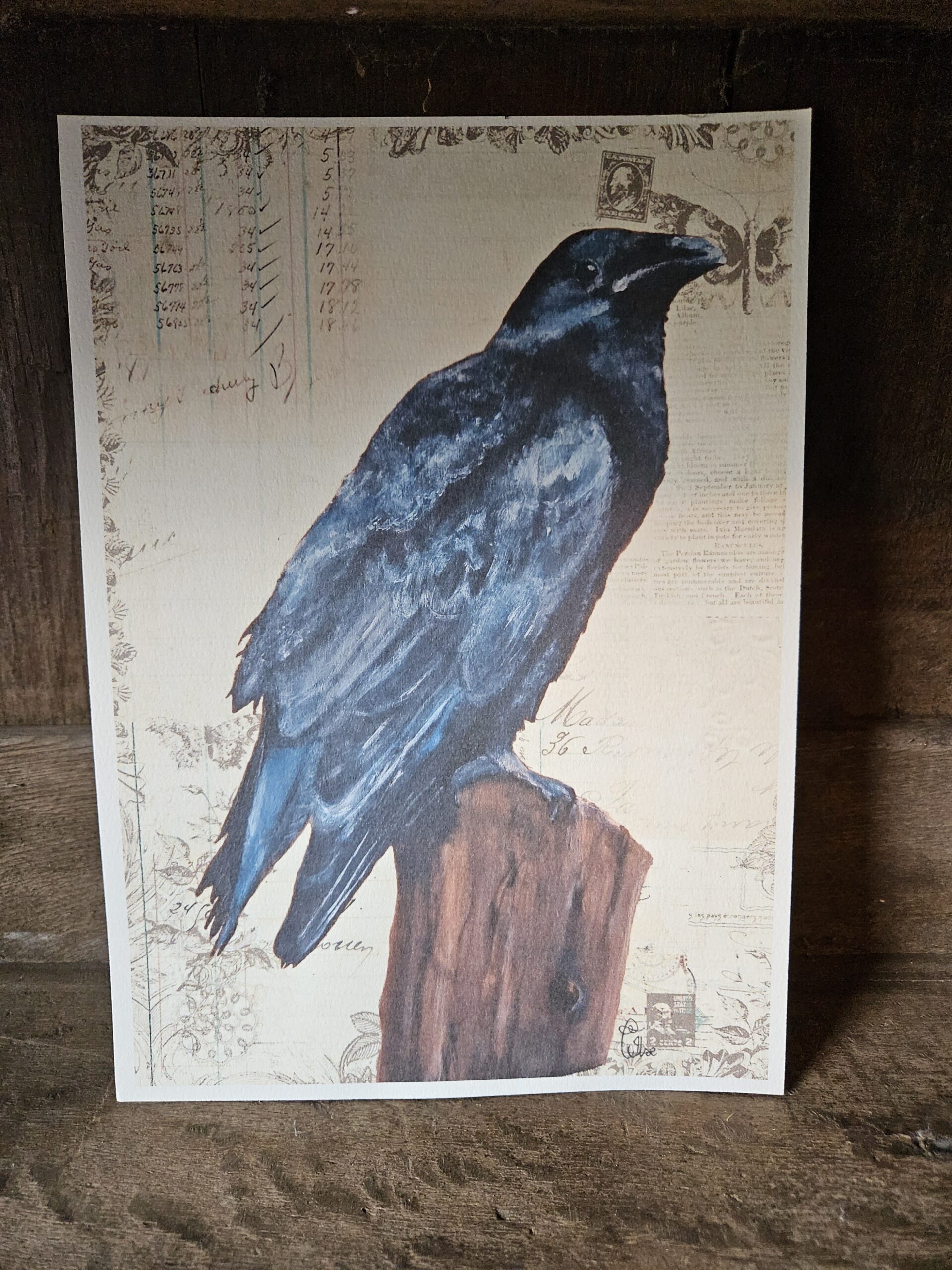 The raven (25x20 print)