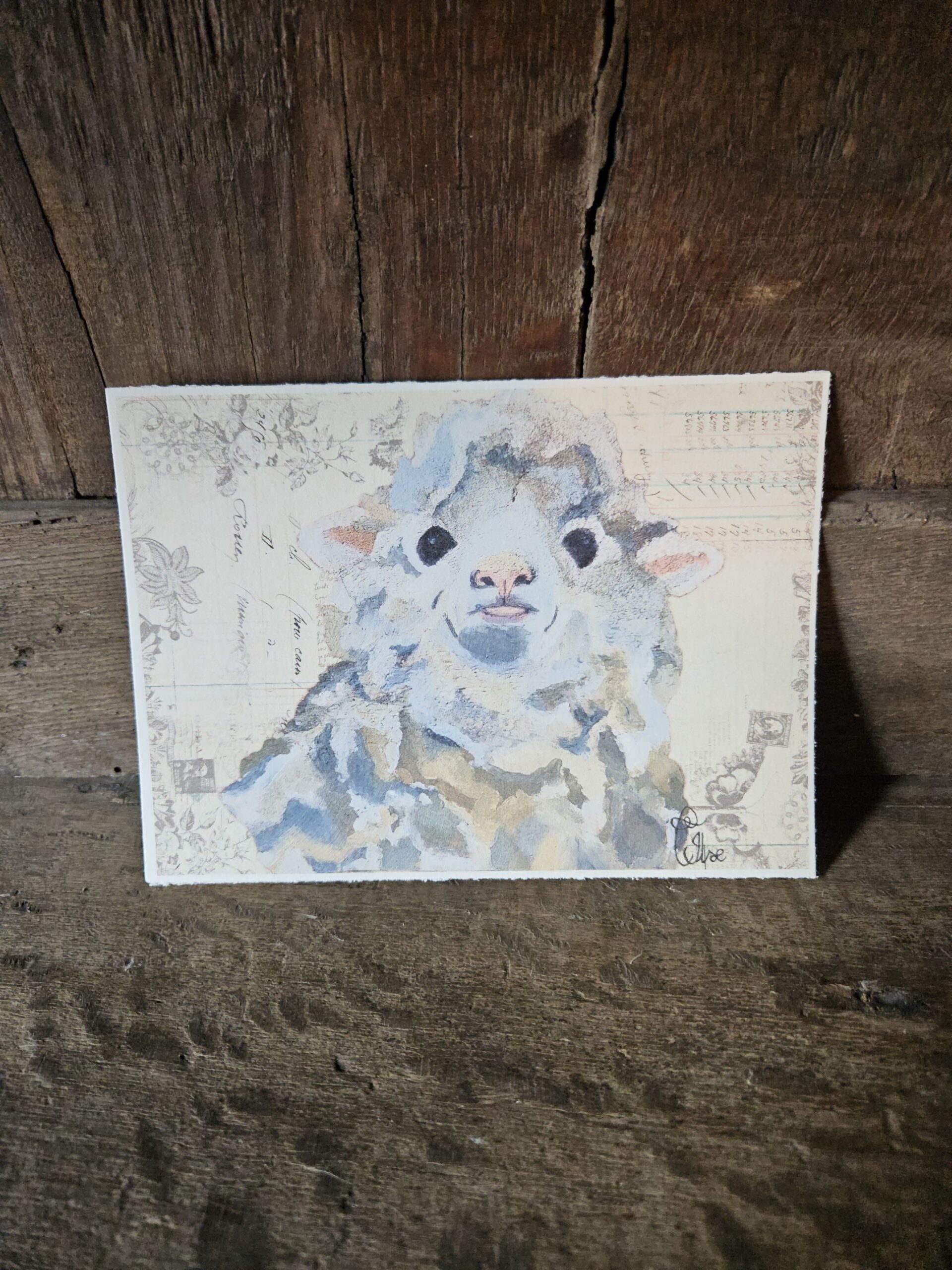 Sheep (kaart 13x18)