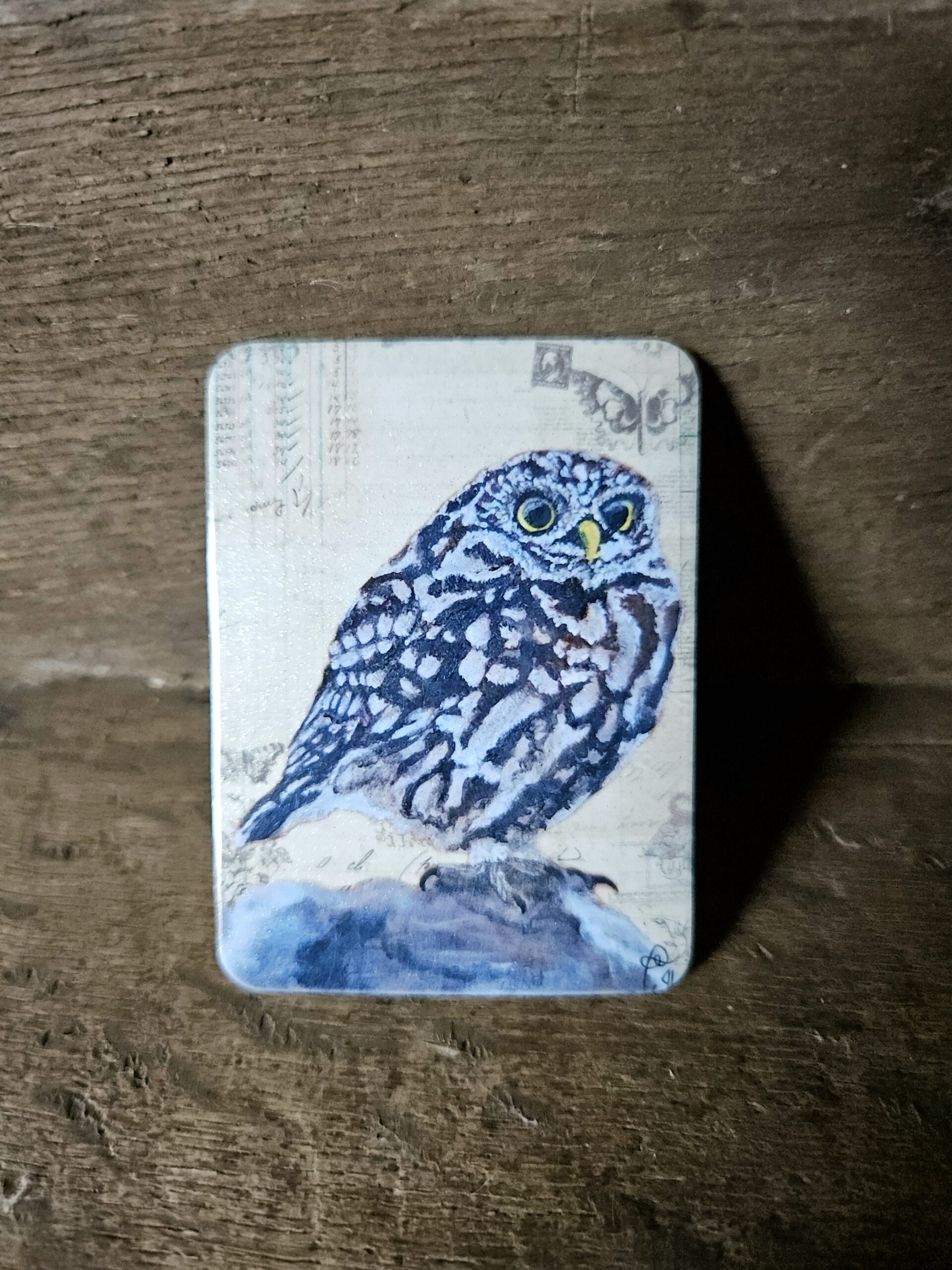 Little Owl (magneet)