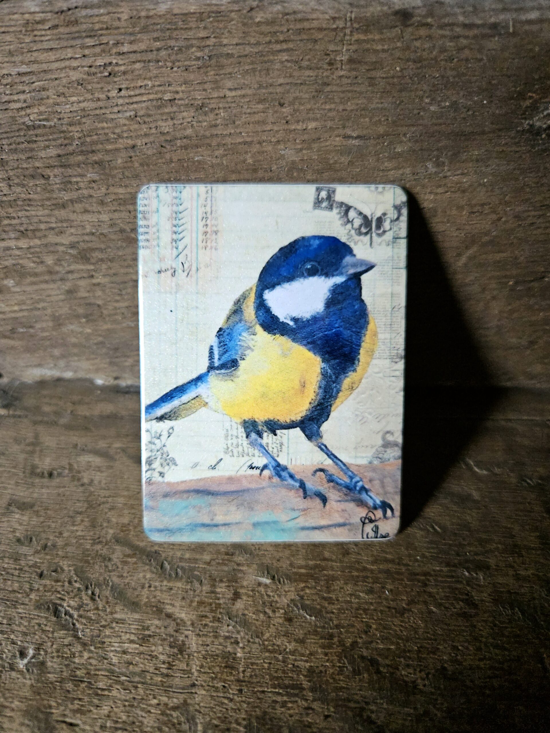 Small Blue Tit (magneet)
