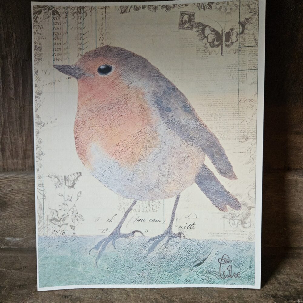 The Robin (25x20 print)