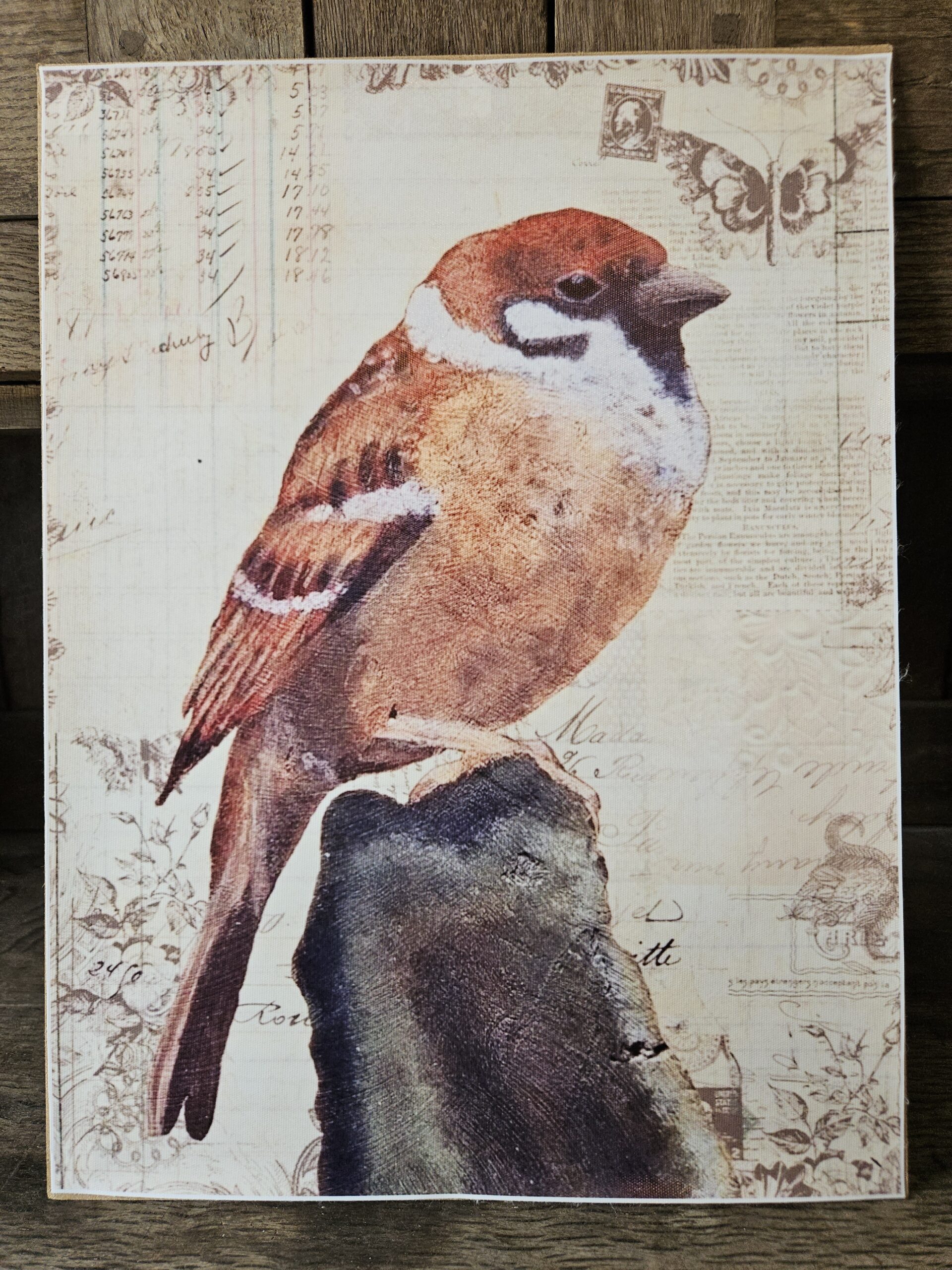 Sparrow (A3 canvas poster)