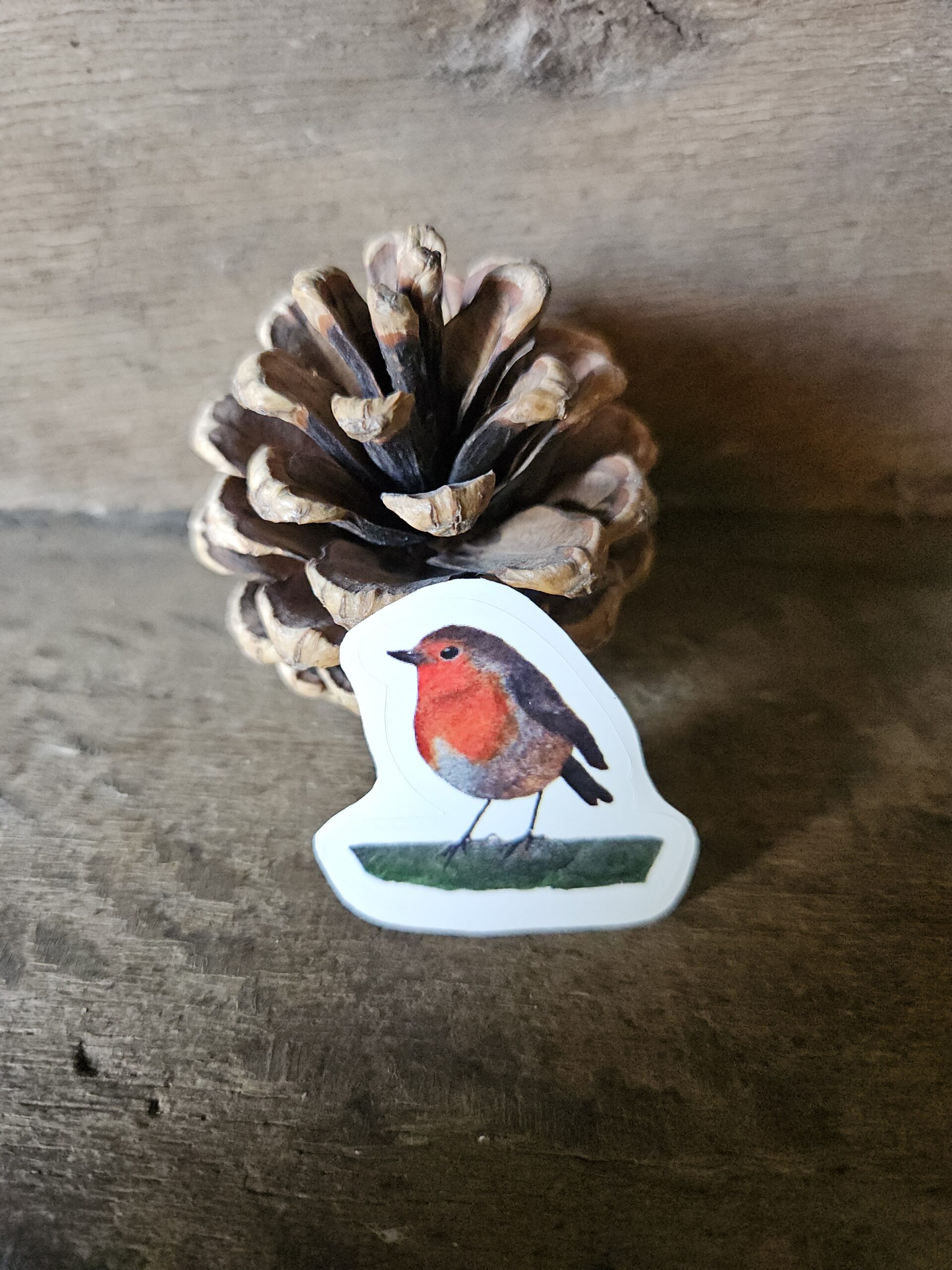 The Robin (sticker)