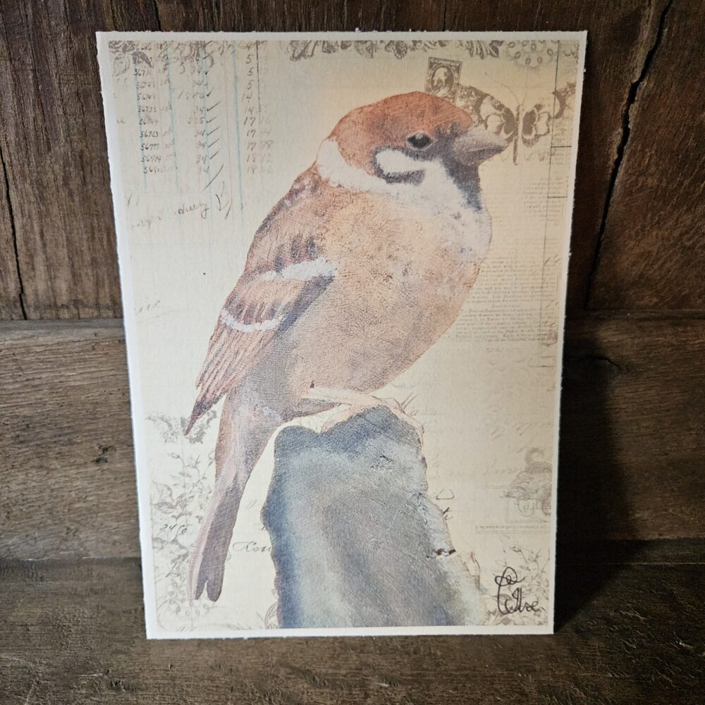 Sparrow (kaart 13x18)