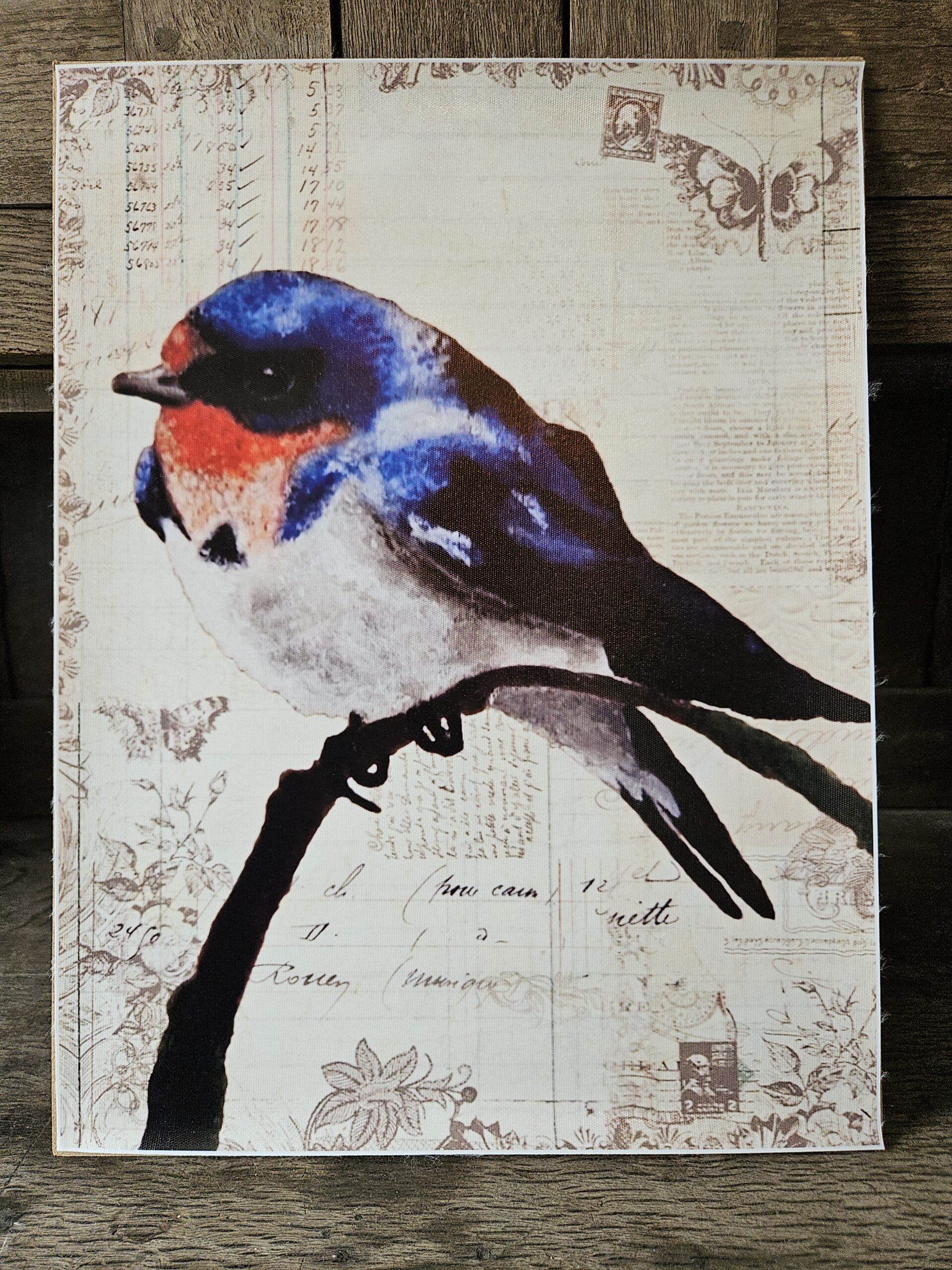 Swallow (A3 canvas poster)