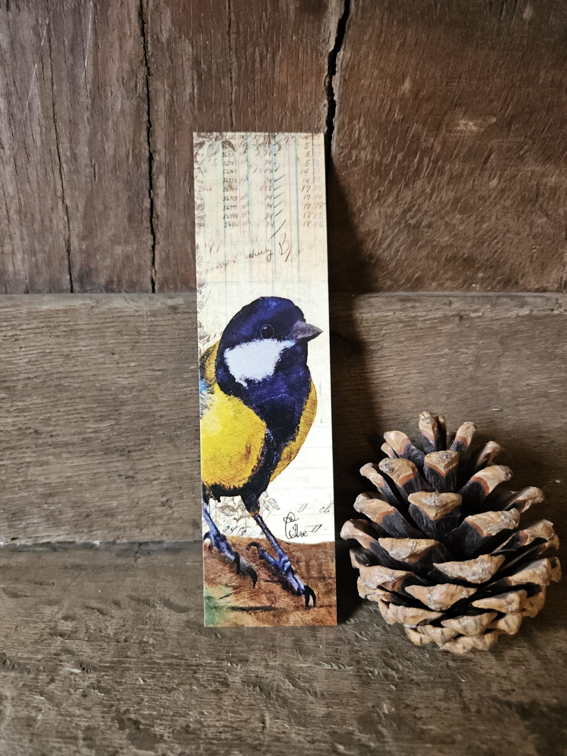 Small Blue Tit (papieren boekenlegger)