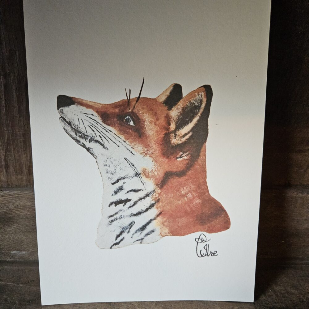 Dreaming Fox (13×18 print)