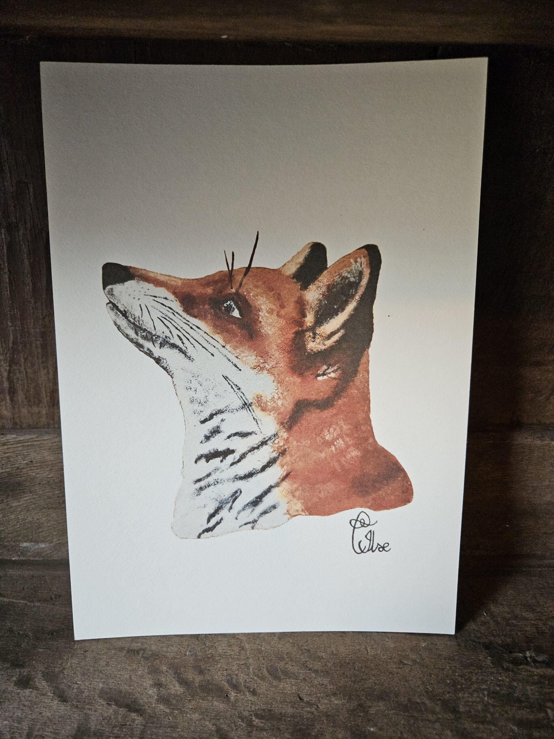 Dreaming Fox (13×18 print)